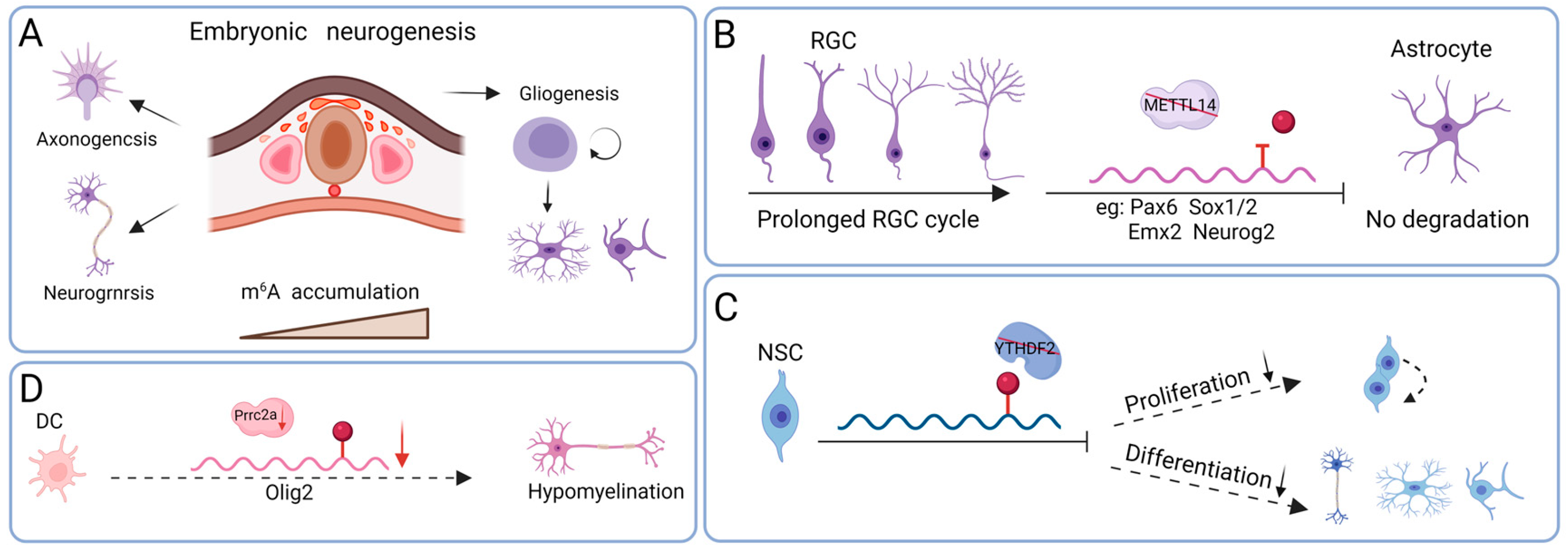 Biomolecules 15 01092 g002