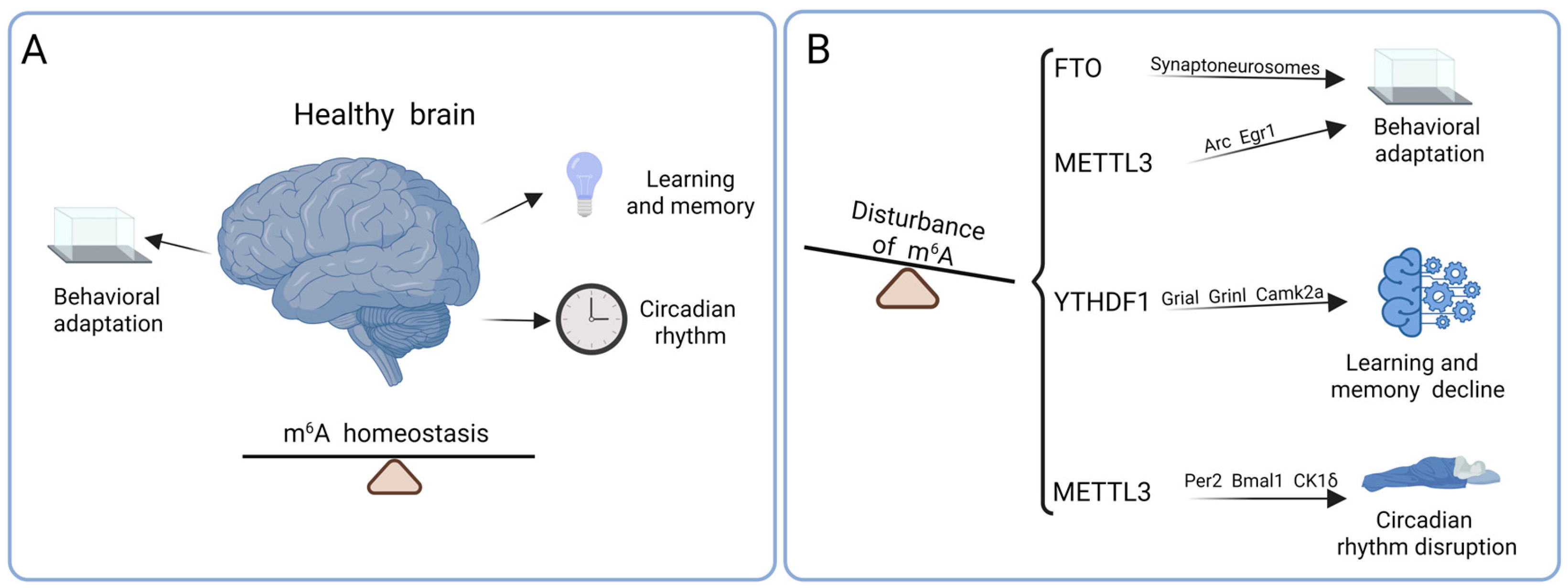 Biomolecules 15 01092 g003