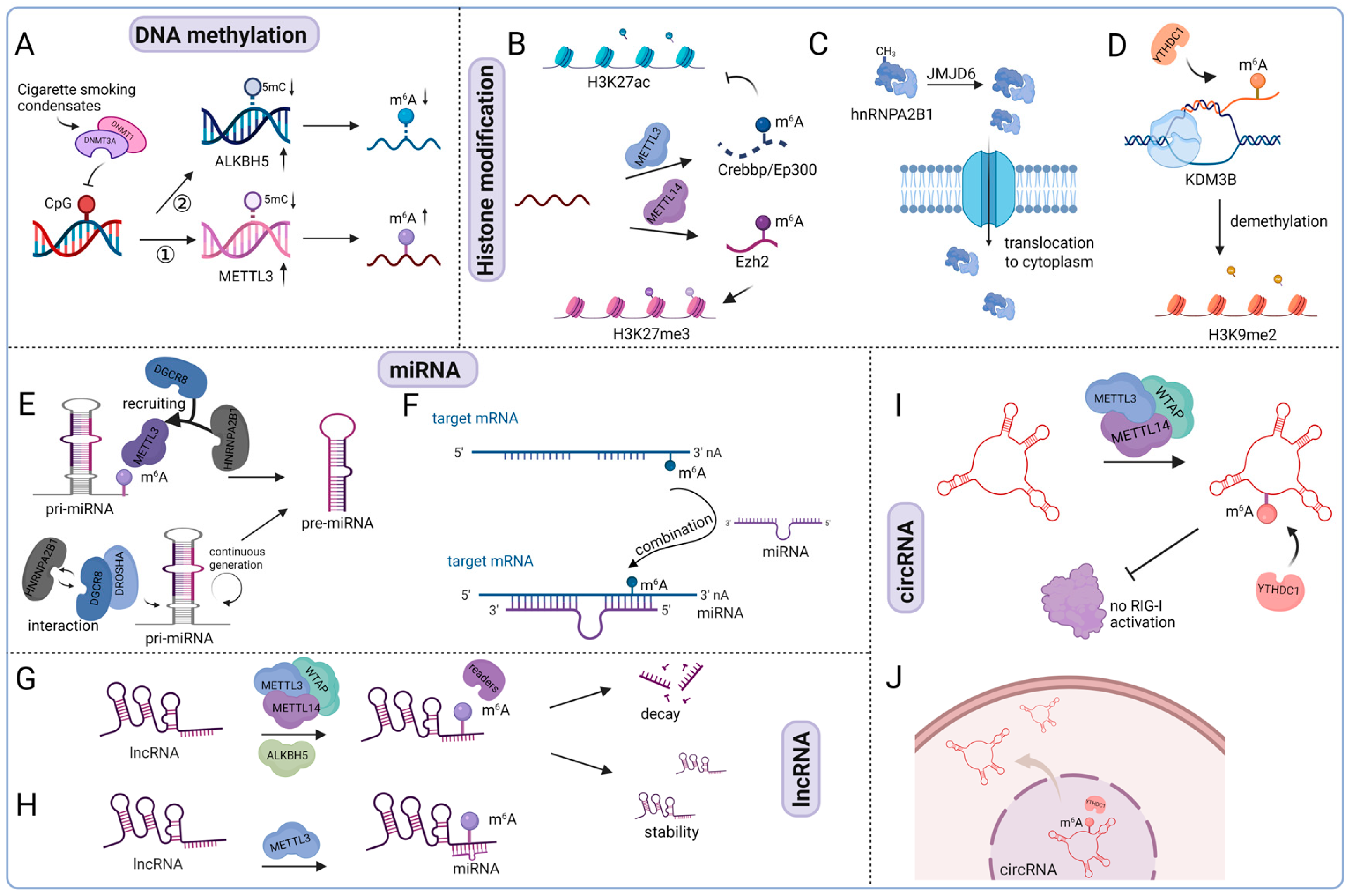 Biomolecules 15 01092 g004