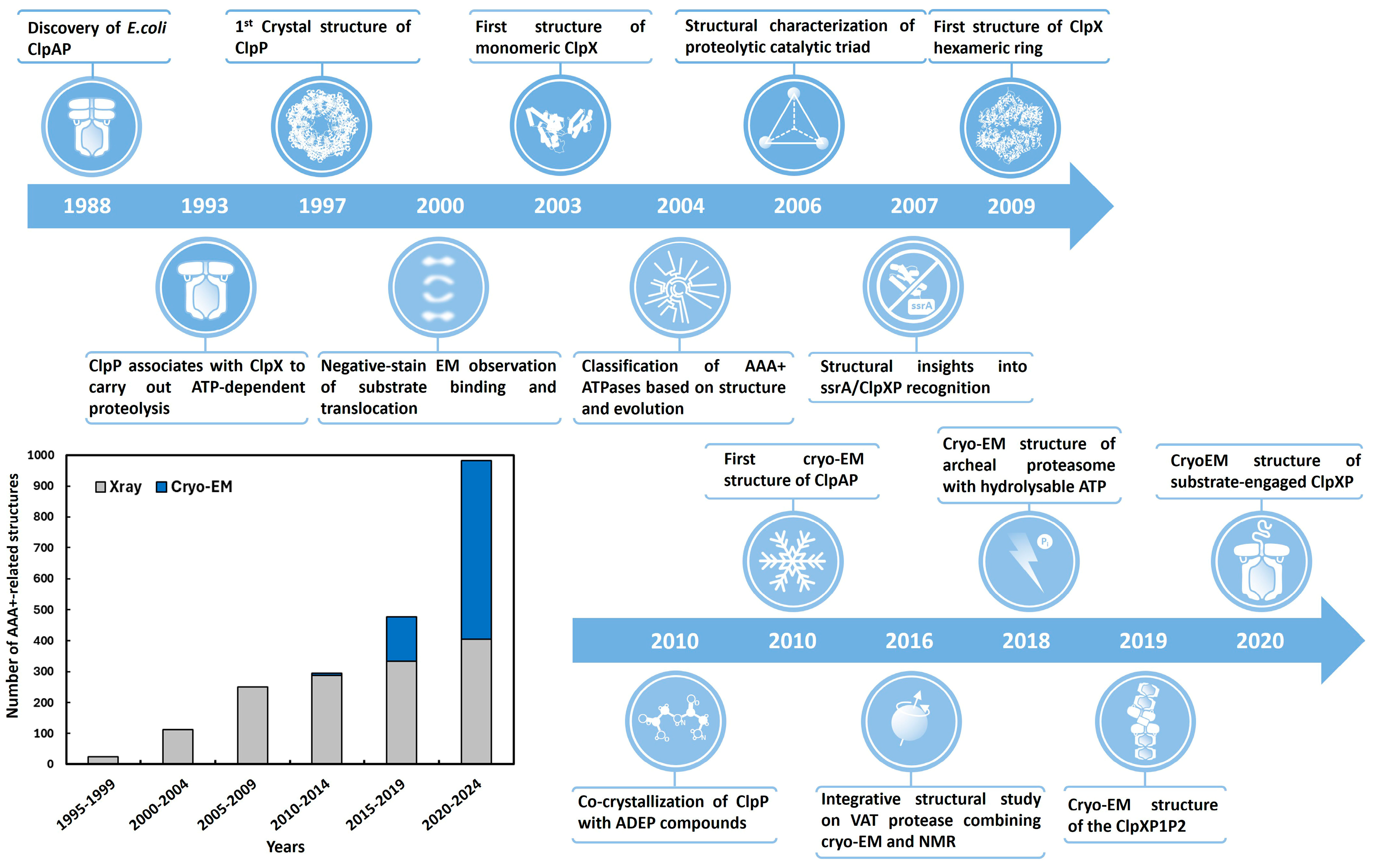 Biomolecules 15 01097 g001