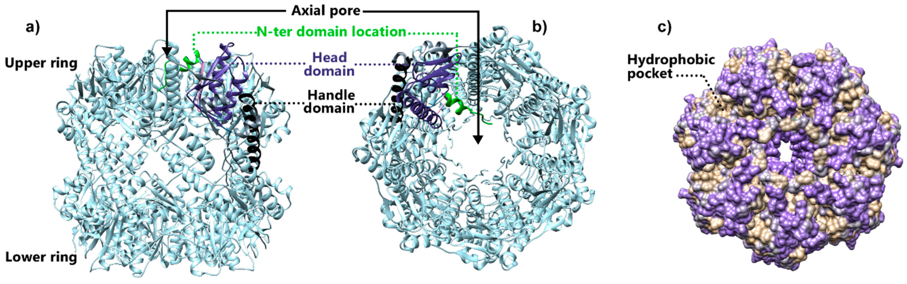 Biomolecules 15 01097 g003