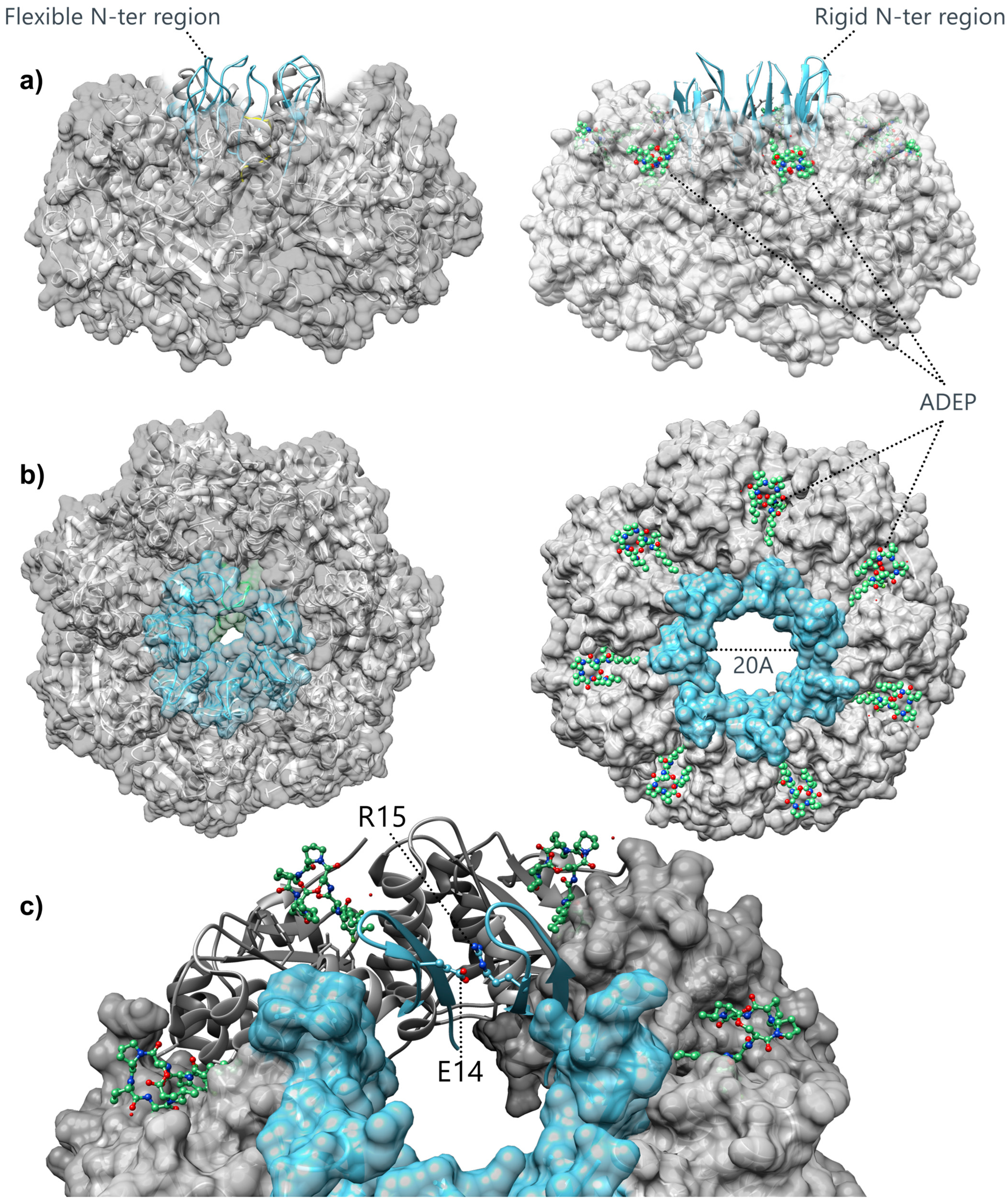 Biomolecules 15 01097 g005