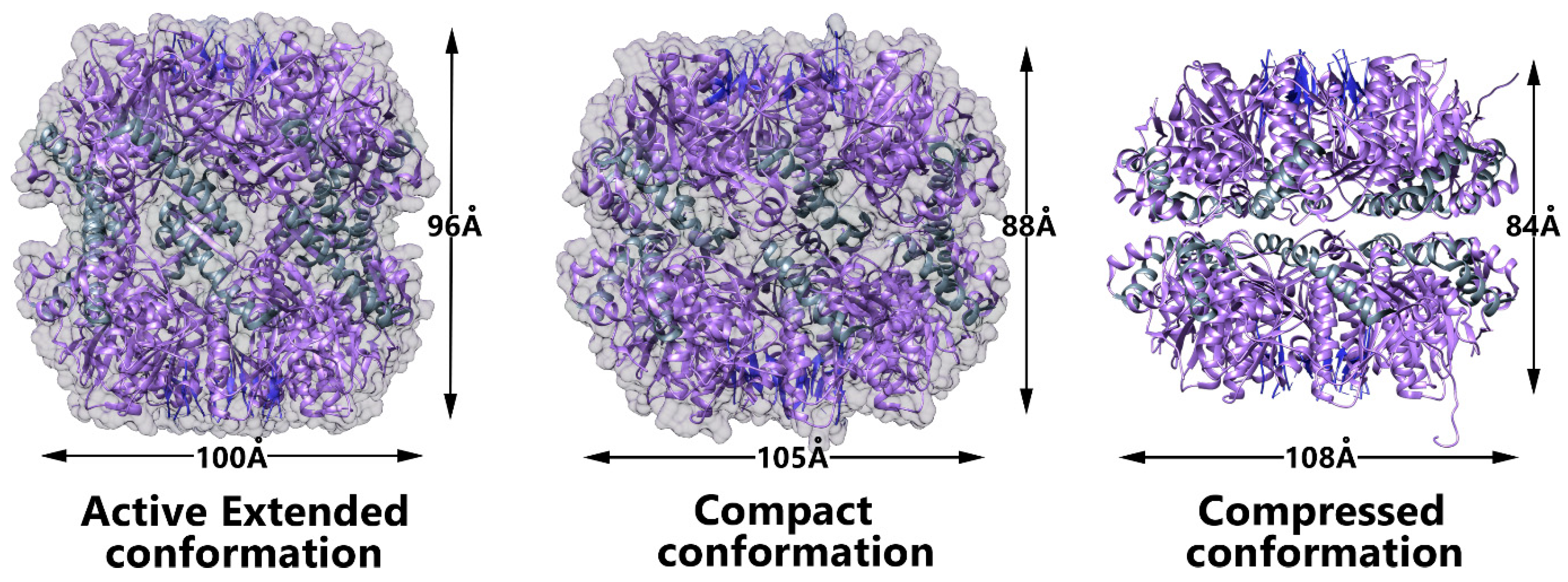 Biomolecules 15 01097 g006