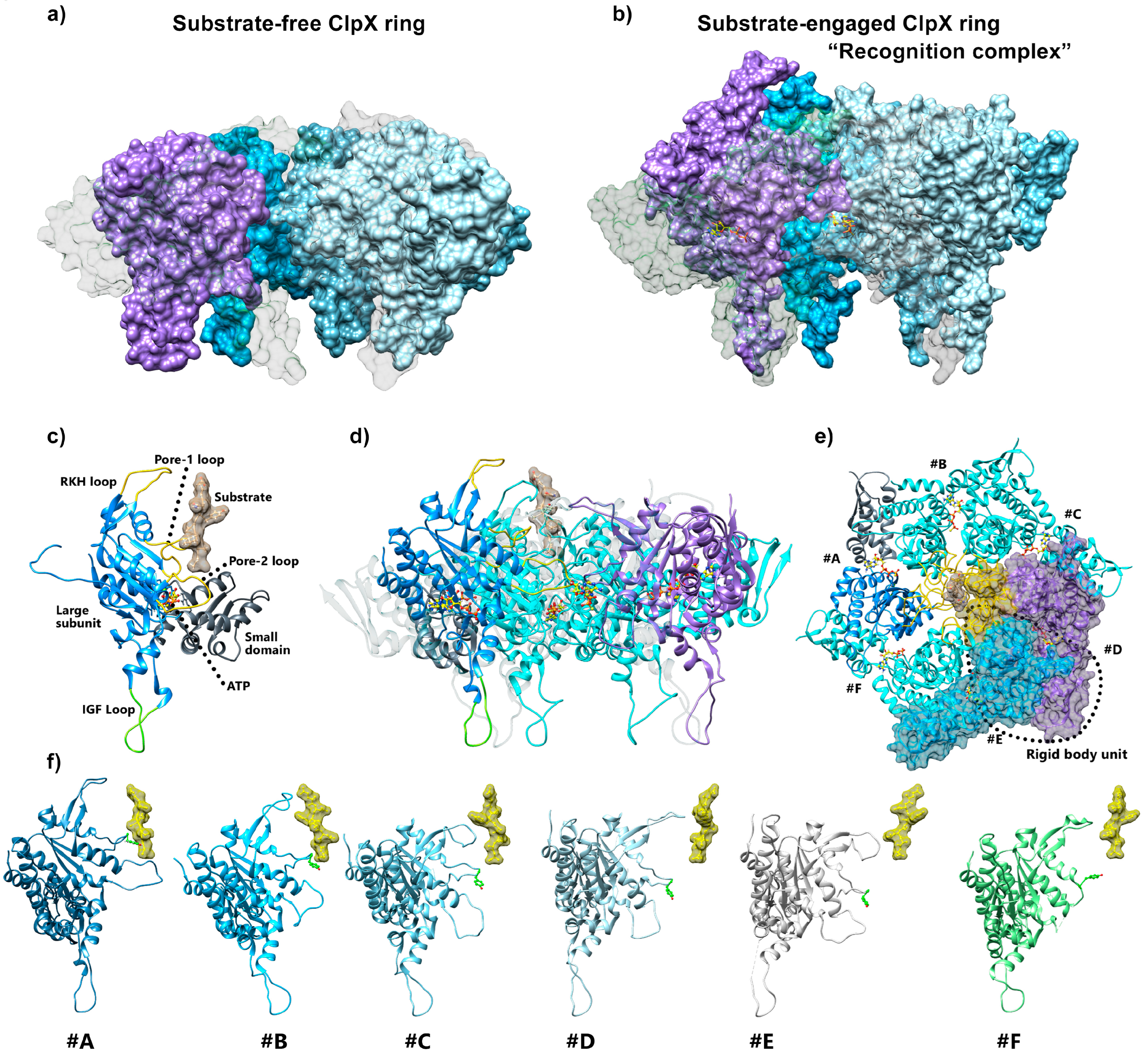 Biomolecules 15 01097 g010