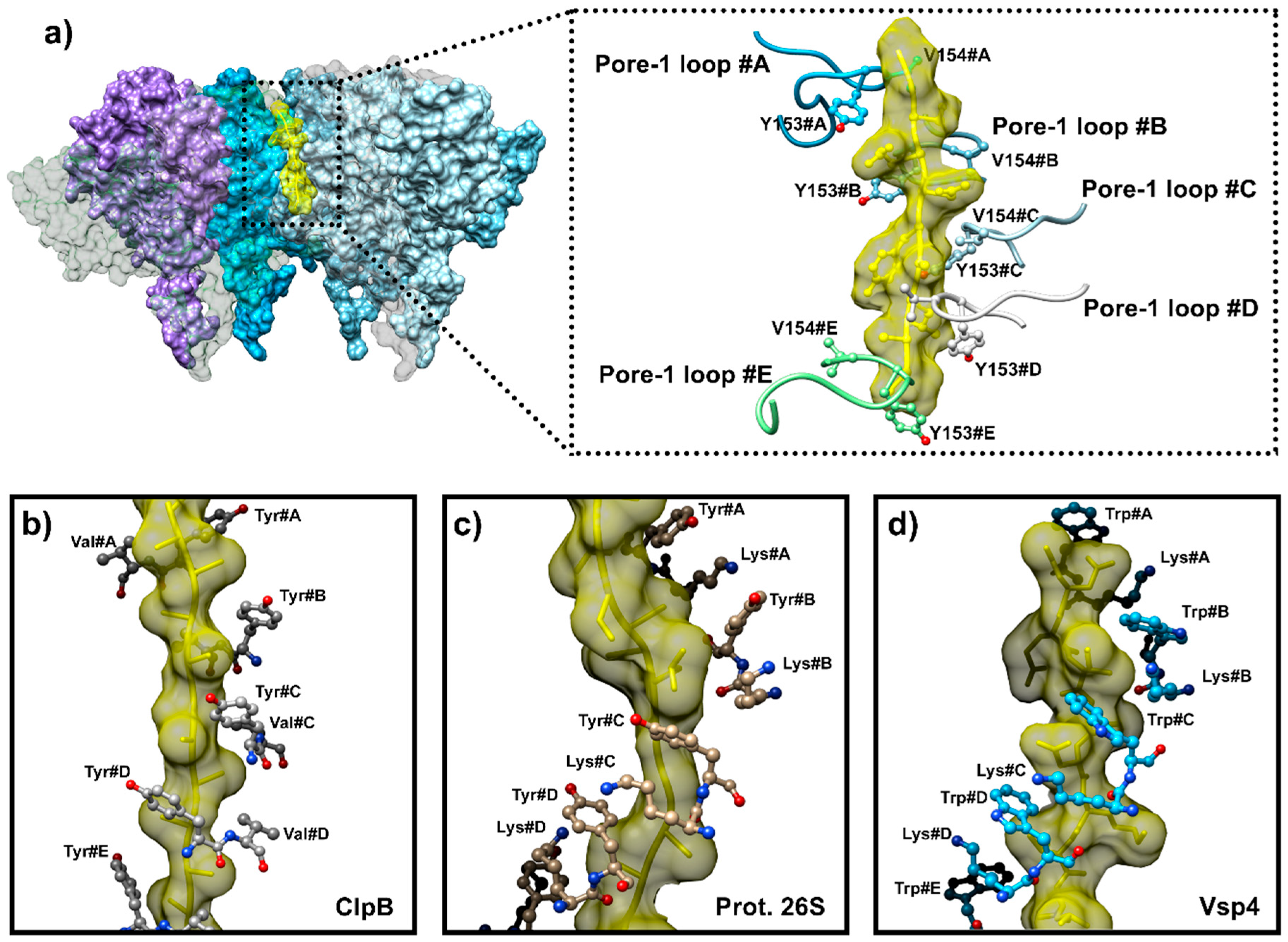 Biomolecules 15 01097 g012
