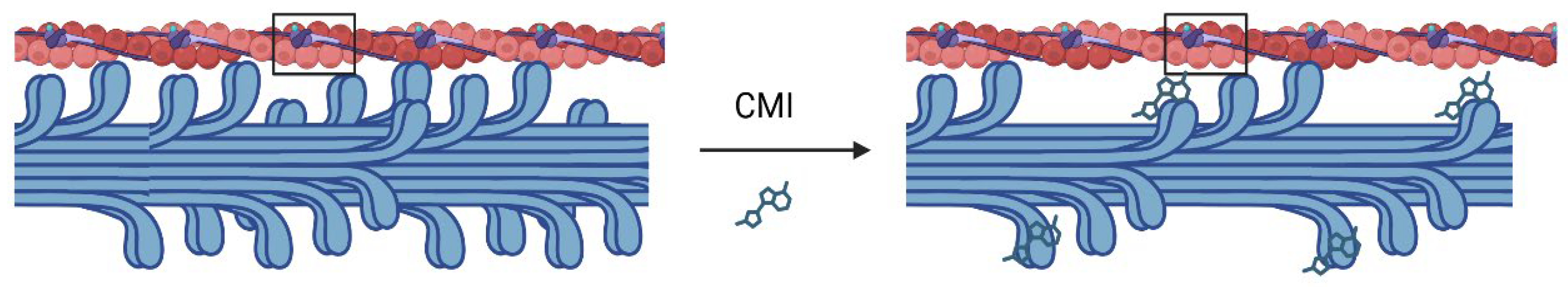 Biomolecules 15 01098 g003