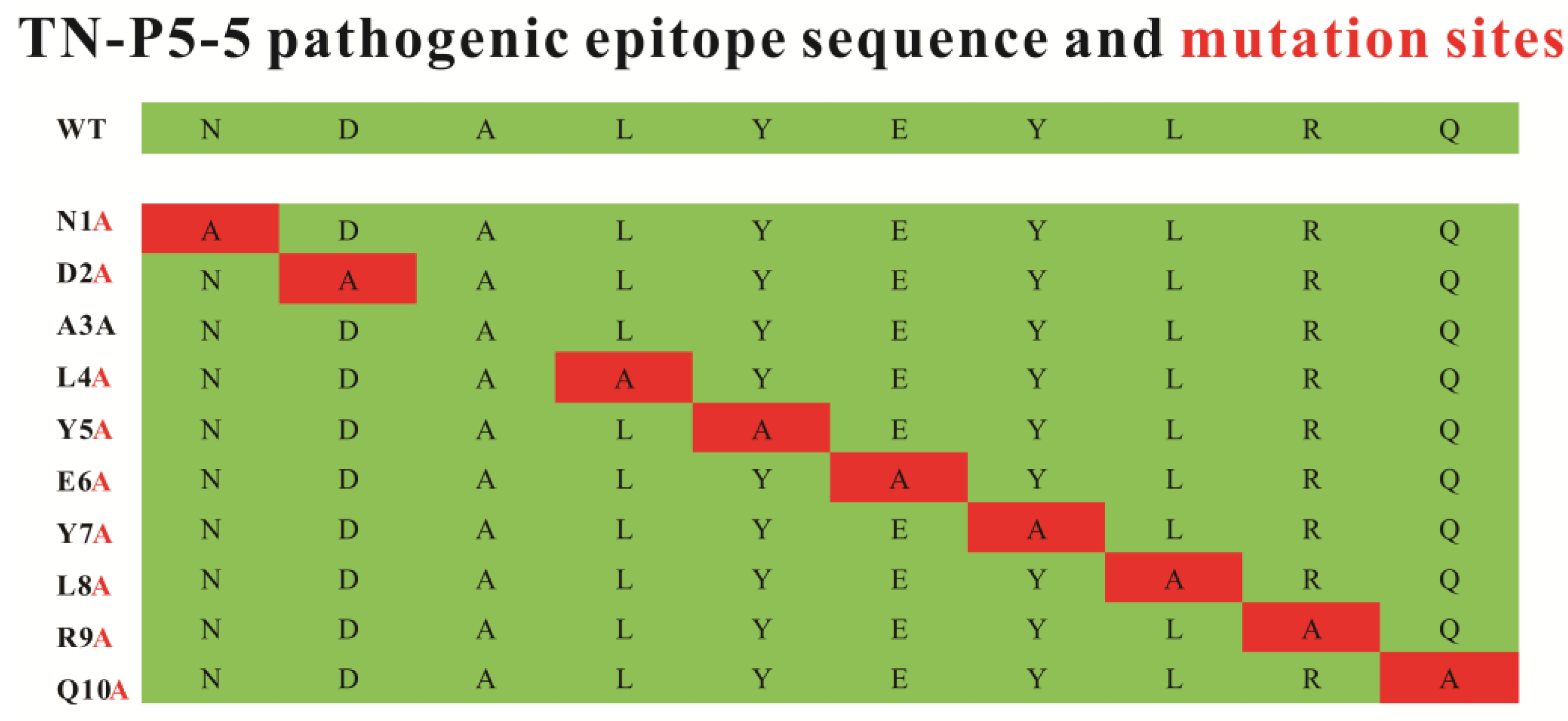 Biomolecules 15 01100 g003
