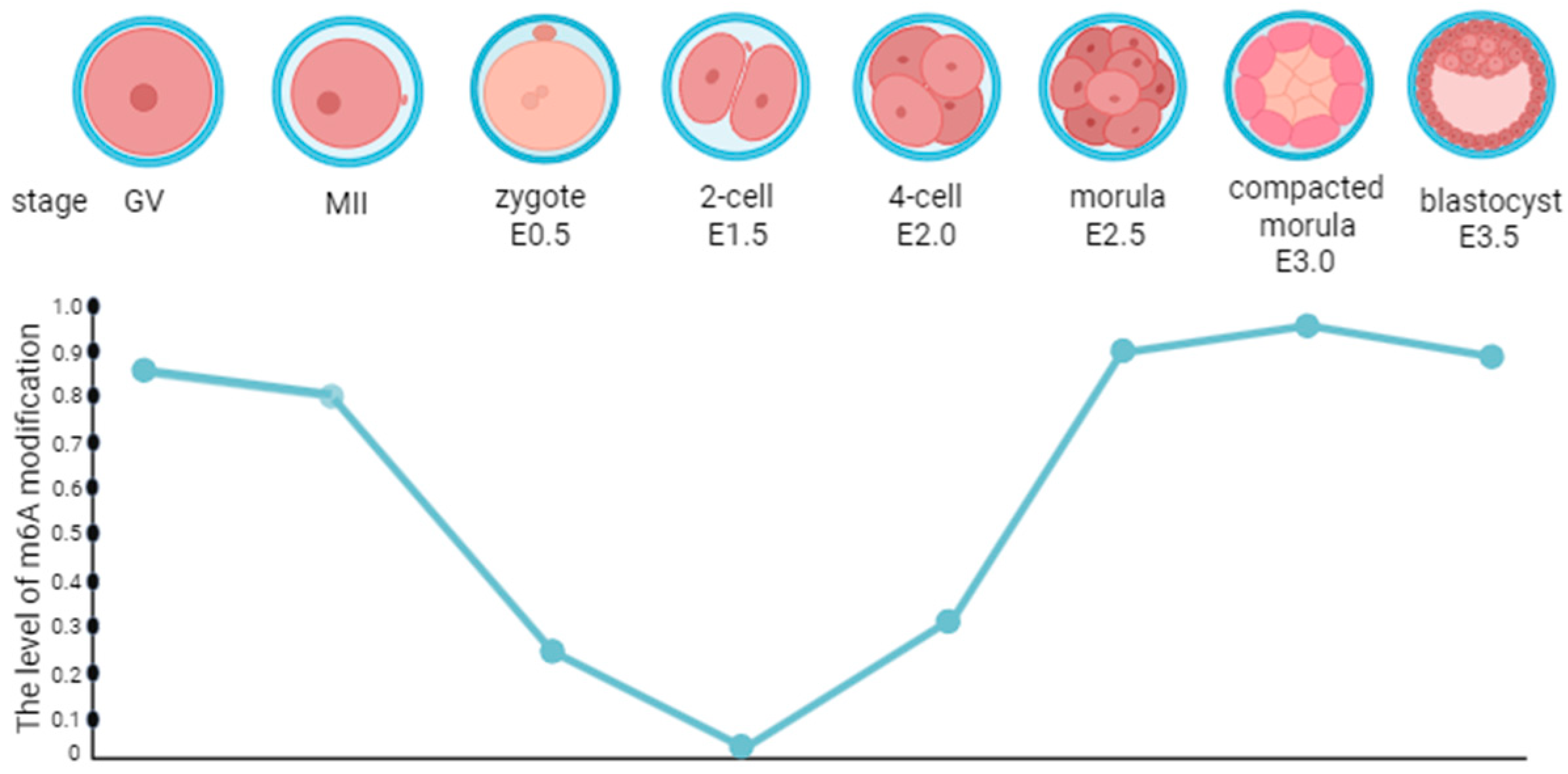 Biomolecules 15 01102 g002