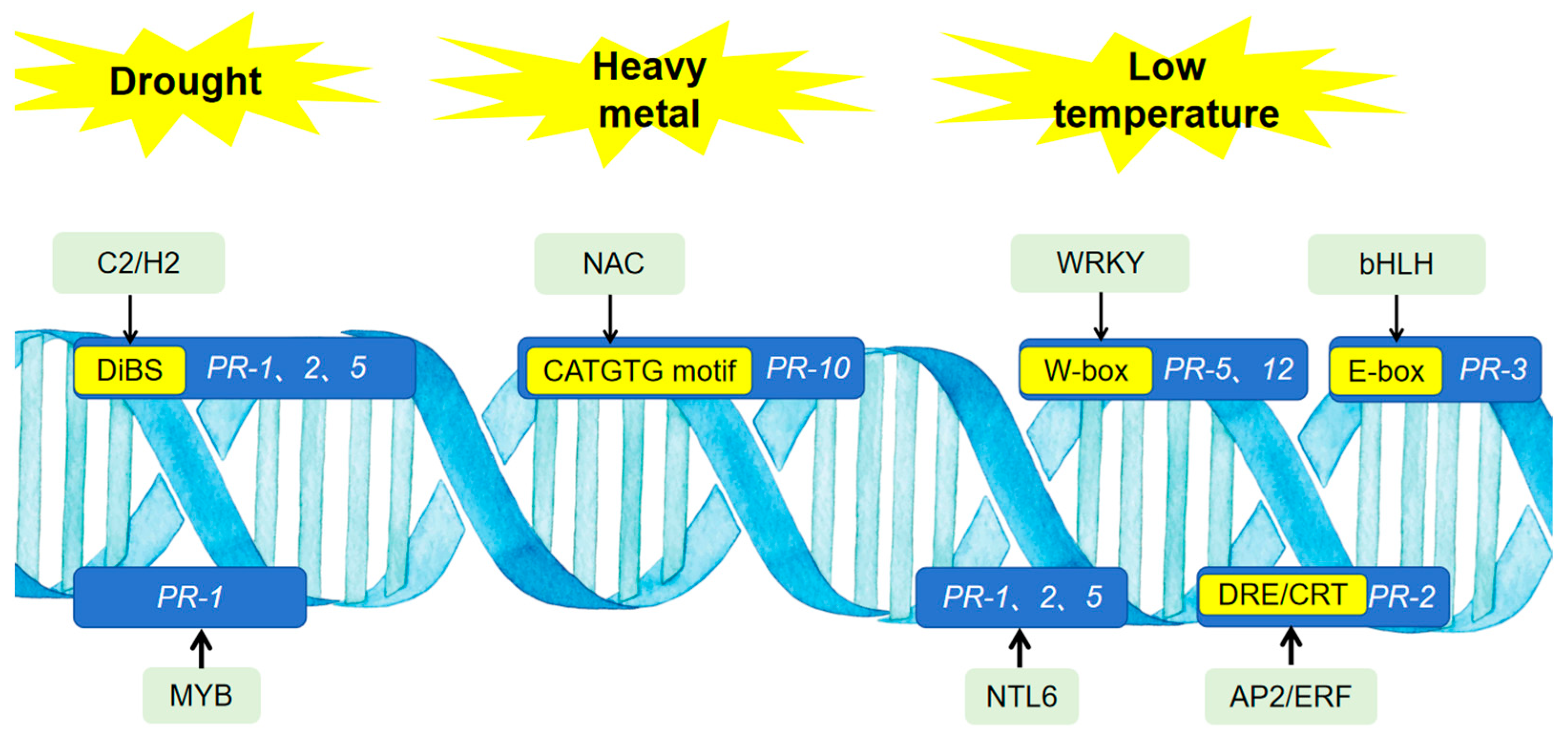 Biomolecules 15 01103 g002