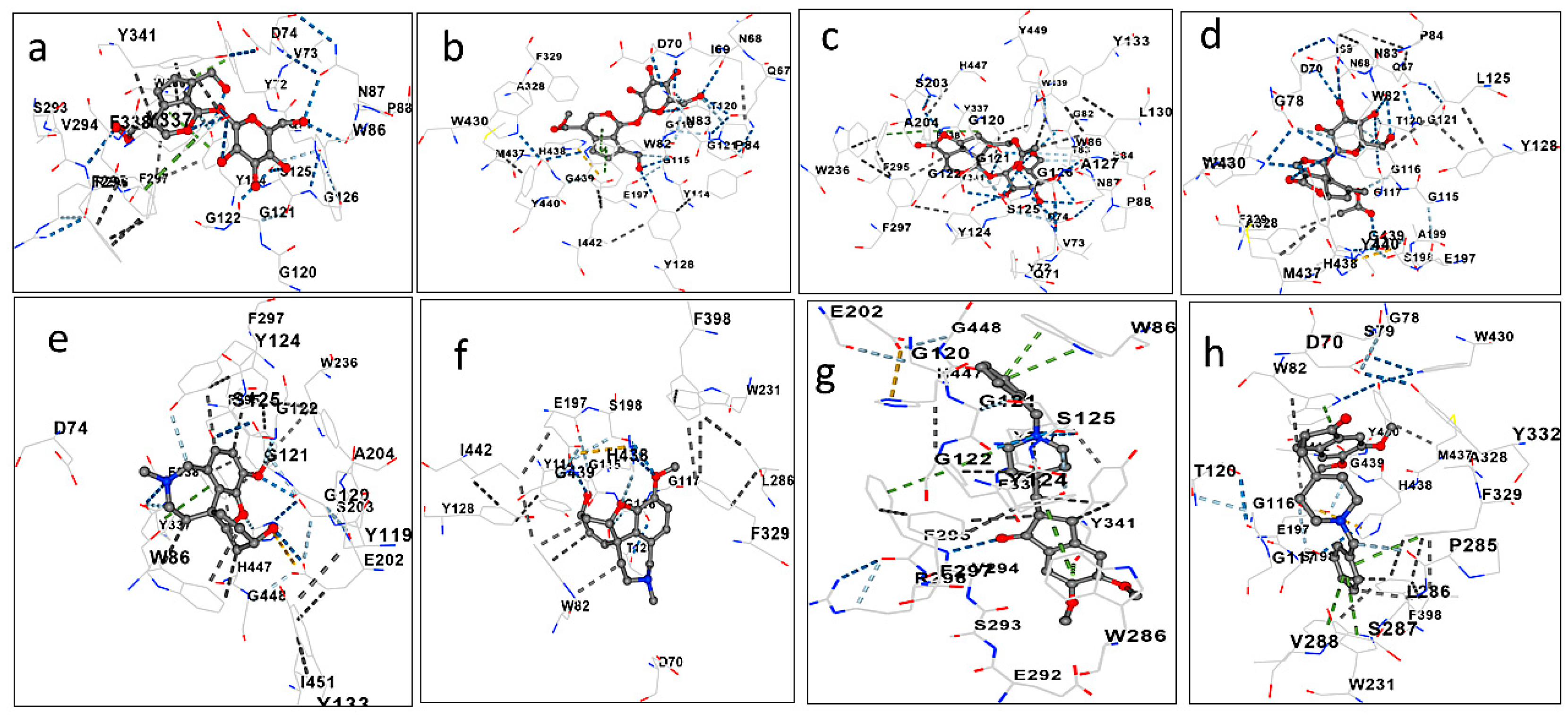 Biomolecules 15 01105 g003