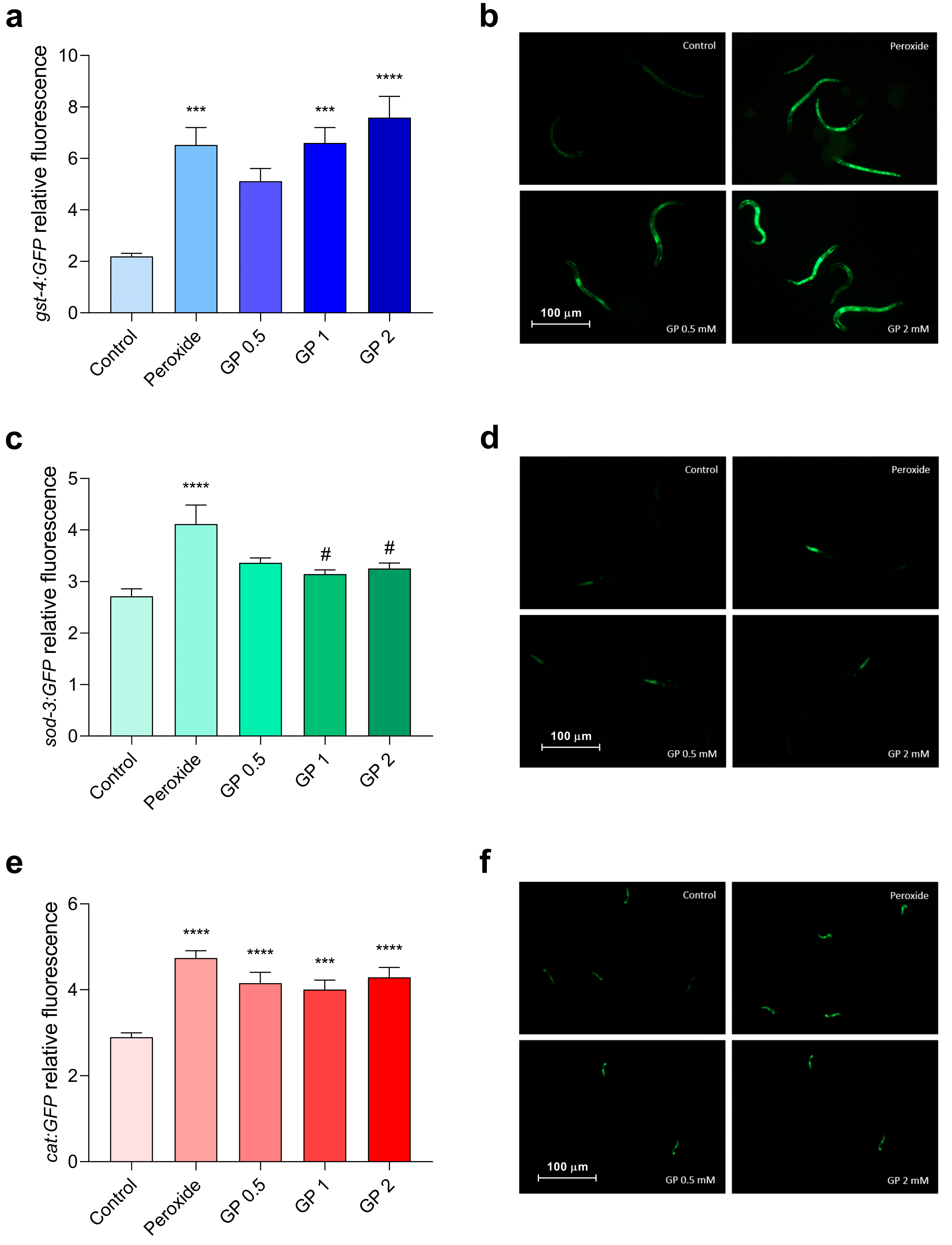 Biomolecules 15 01105 g004