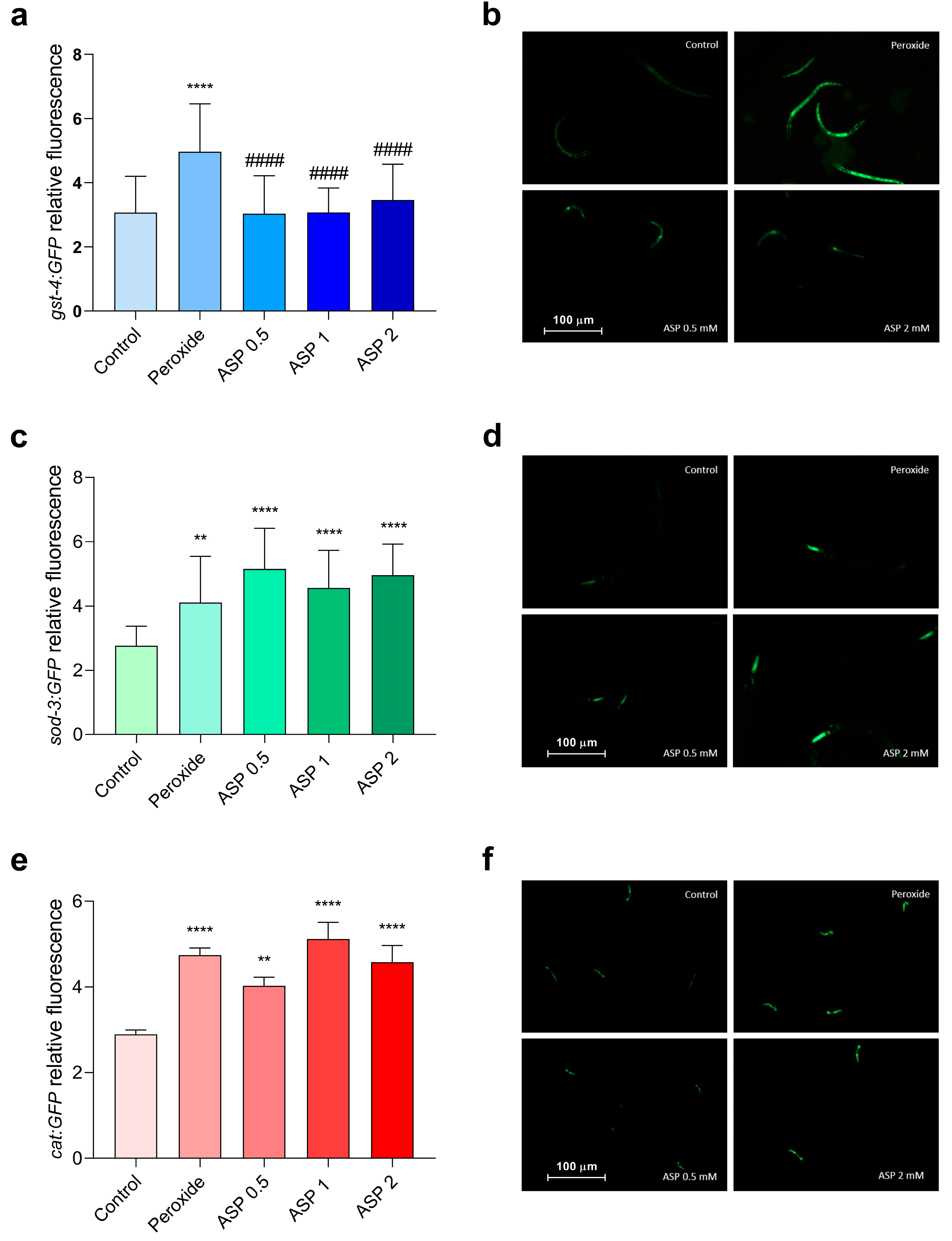 Biomolecules 15 01105 g005