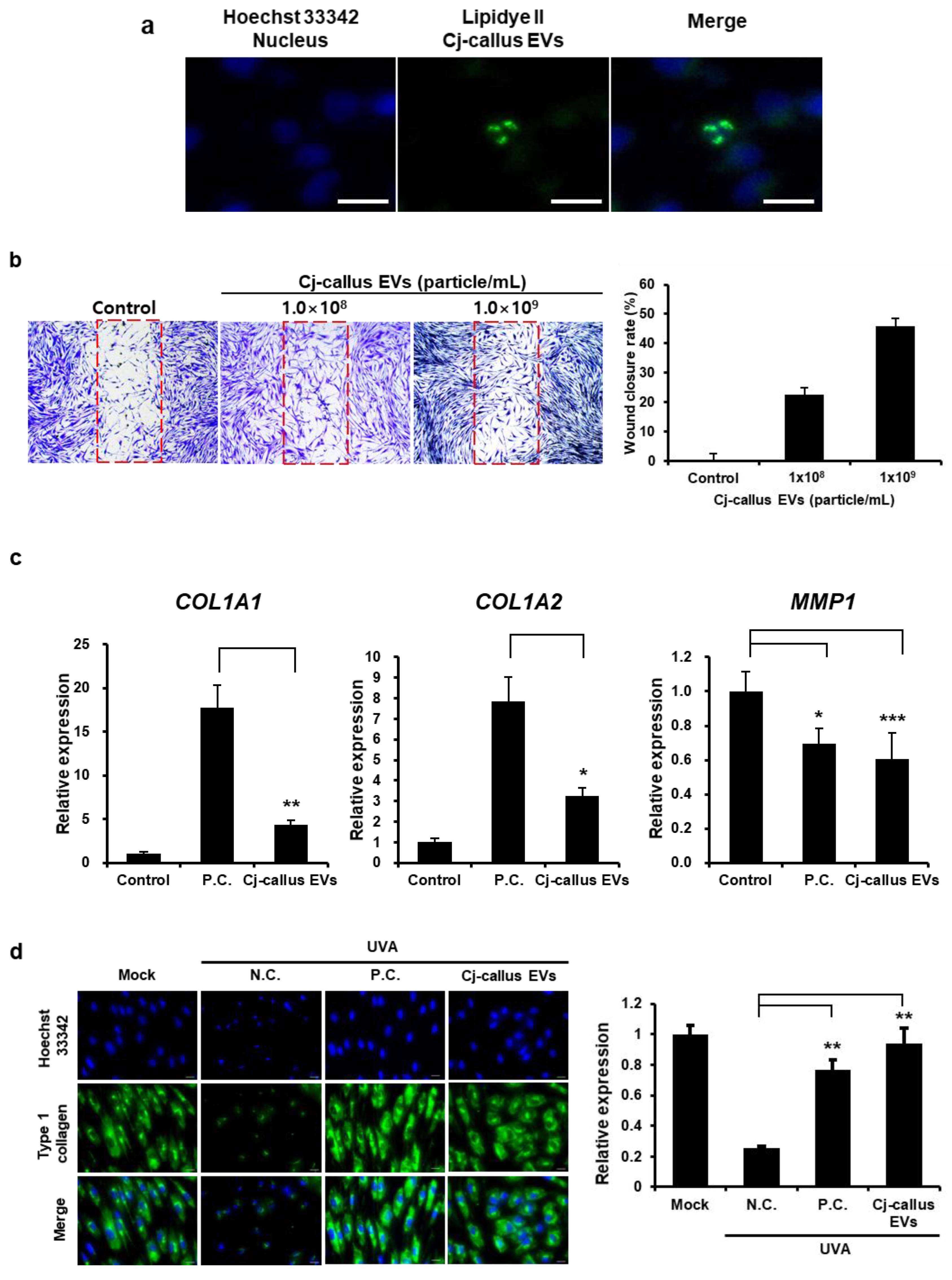 Biomolecules 15 01108 g003