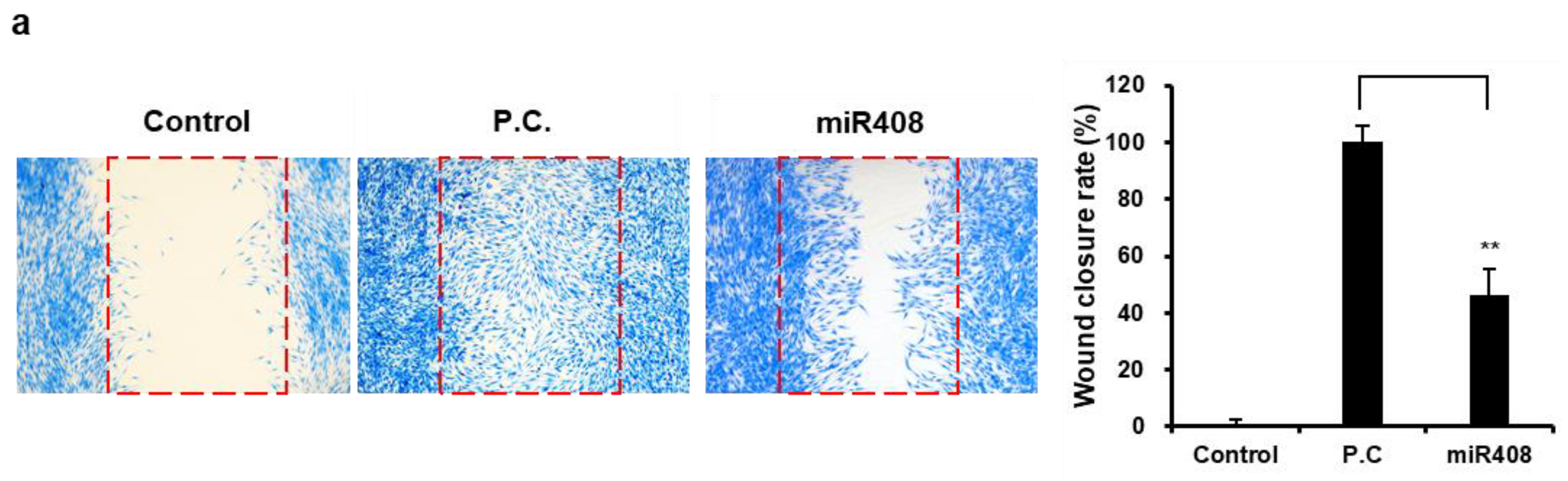 Biomolecules 15 01108 g006a