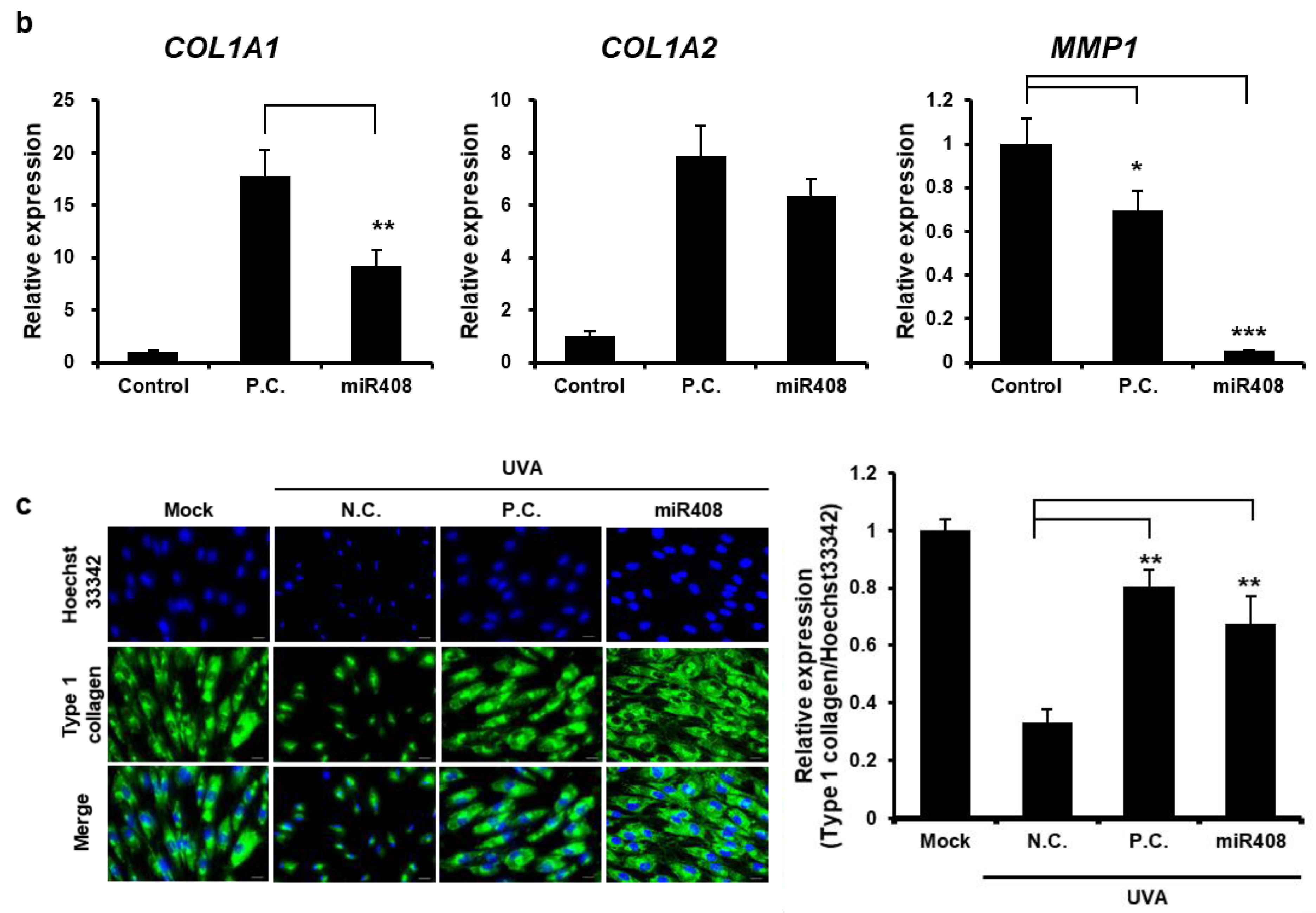 Biomolecules 15 01108 g006b