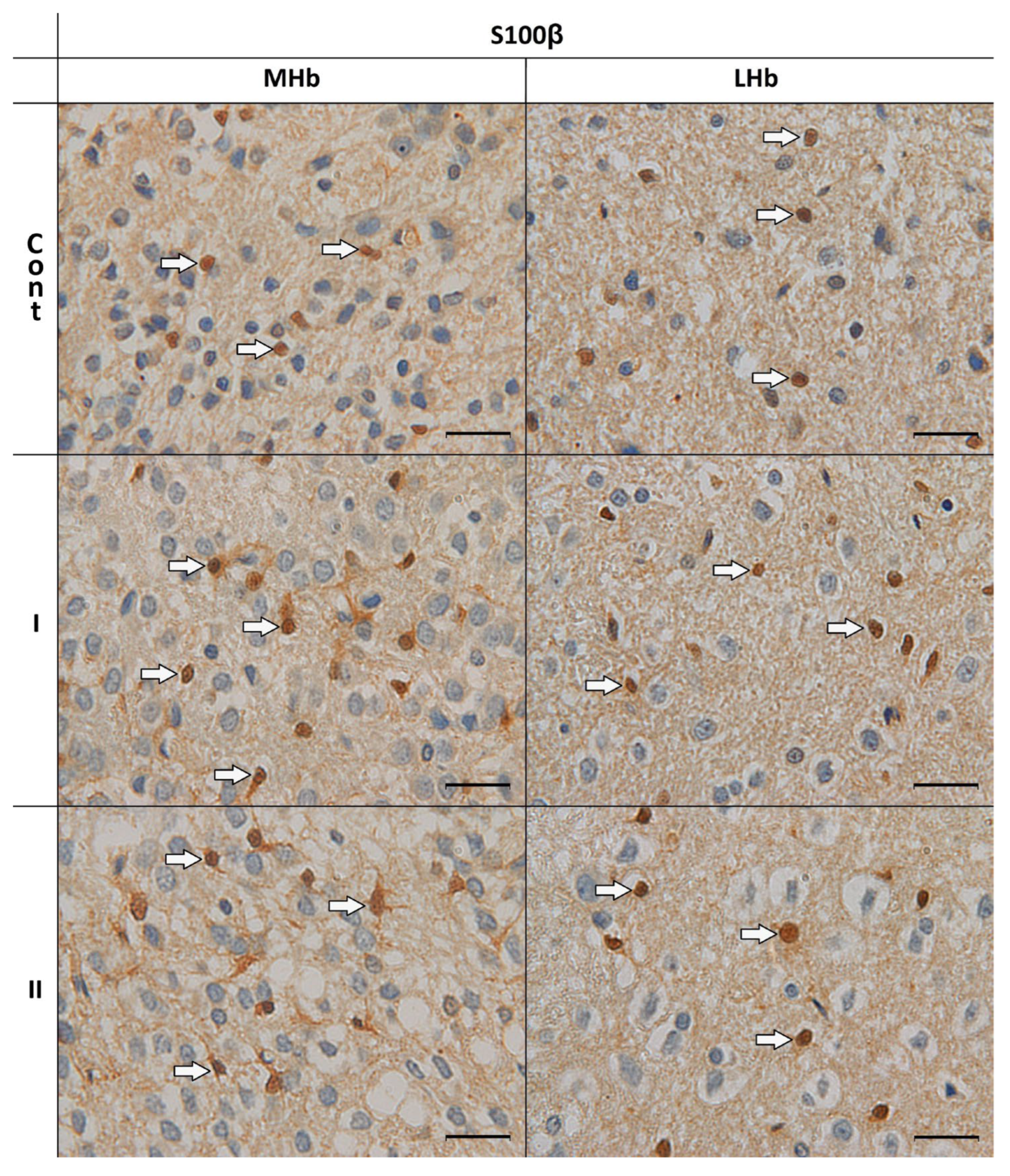 Biomolecules 15 01111 g002 Biomolecules 15 01111 g002