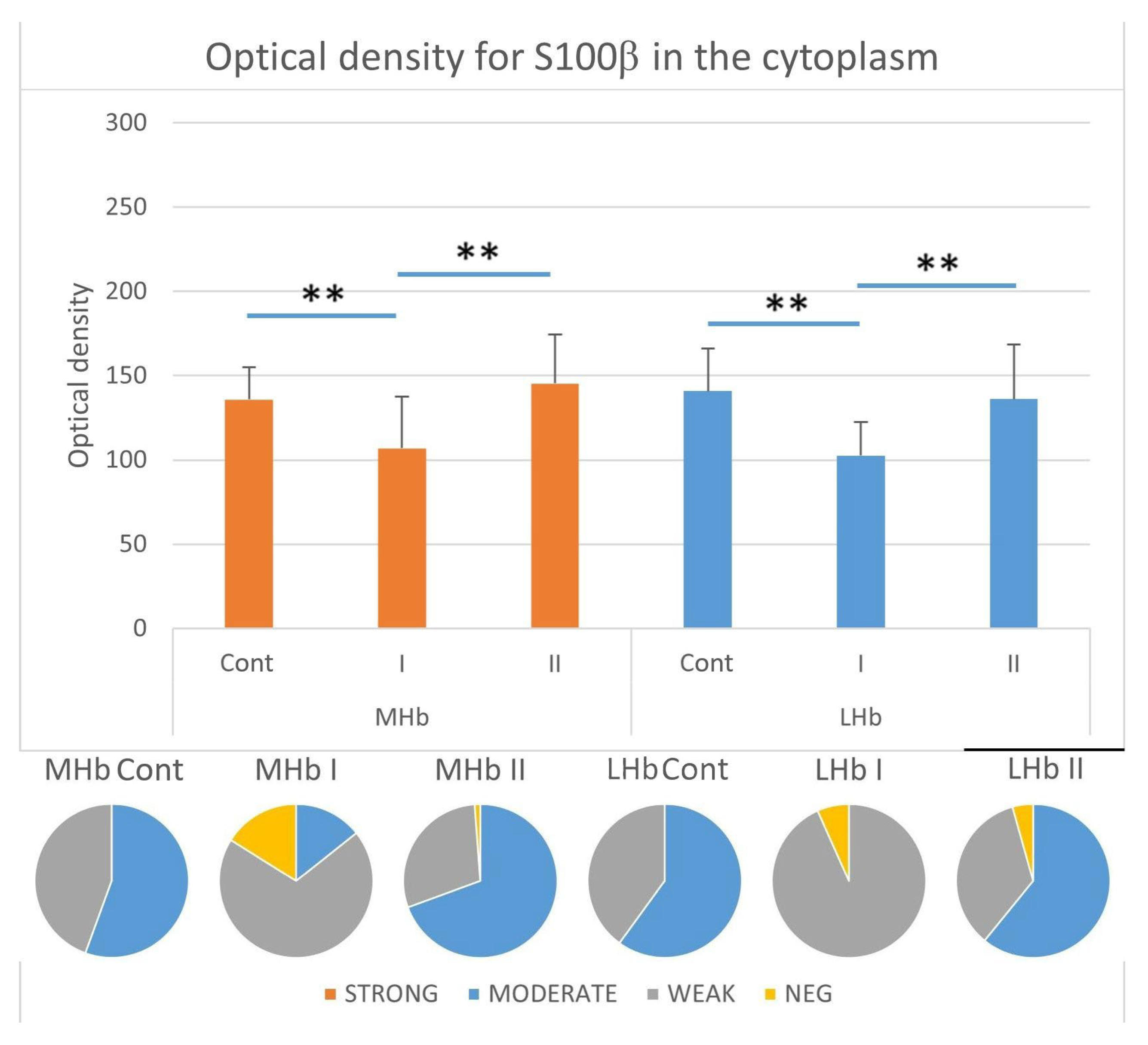 Biomolecules 15 01111 g007 Biomolecules 15 01111 g007