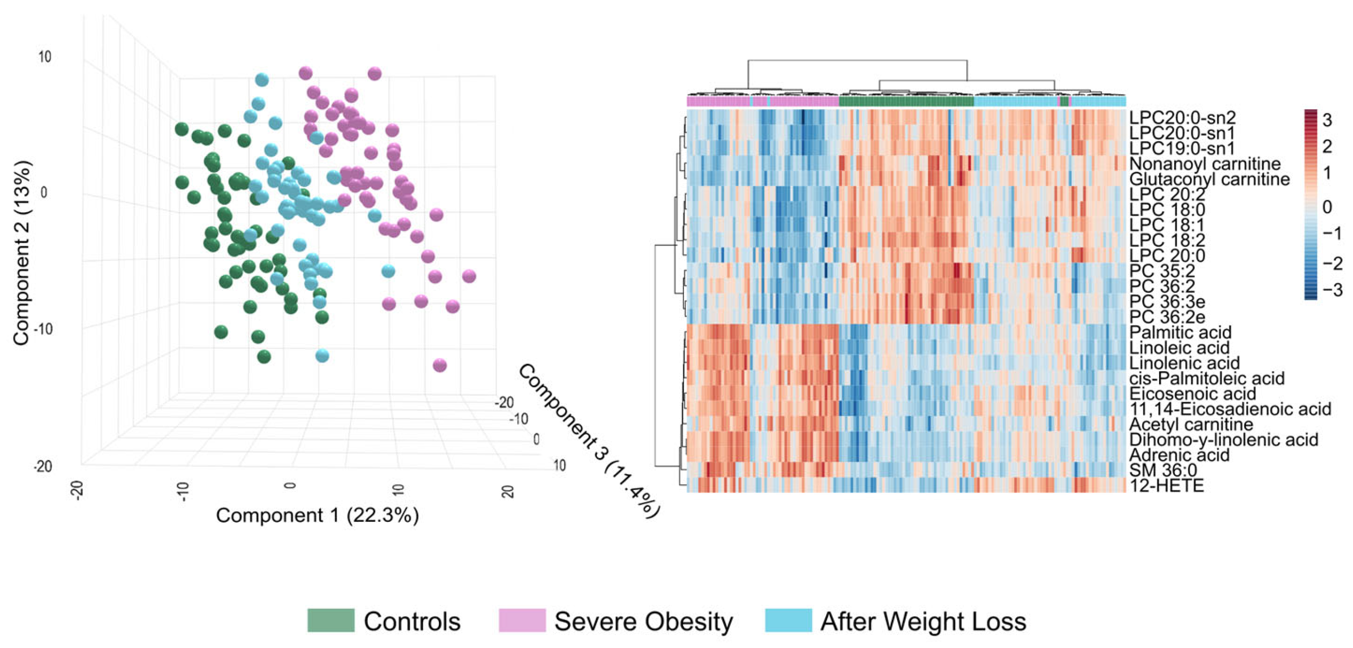 Biomolecules 15 01112 g005 Biomolecules 15 01112 g005