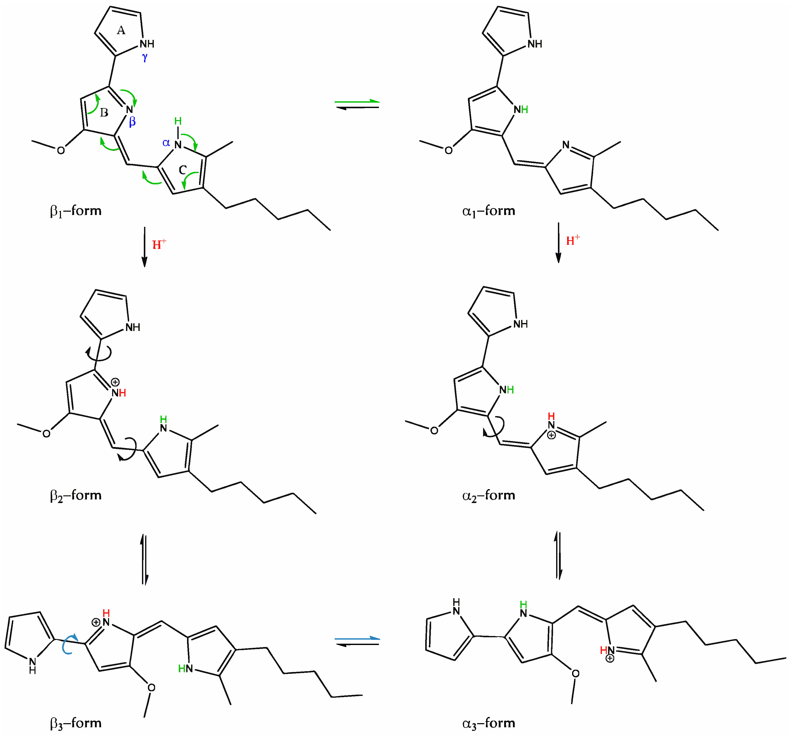 Biomolecules 15 01113 g008
