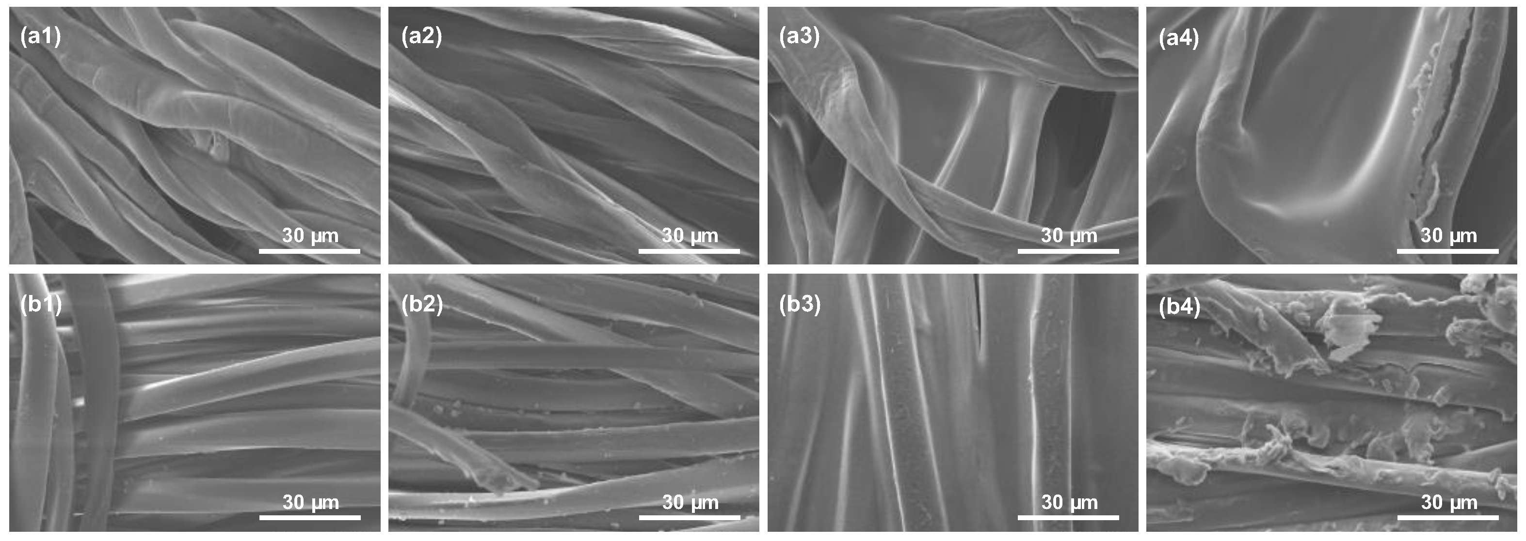 Biomolecules 15 01113 g012