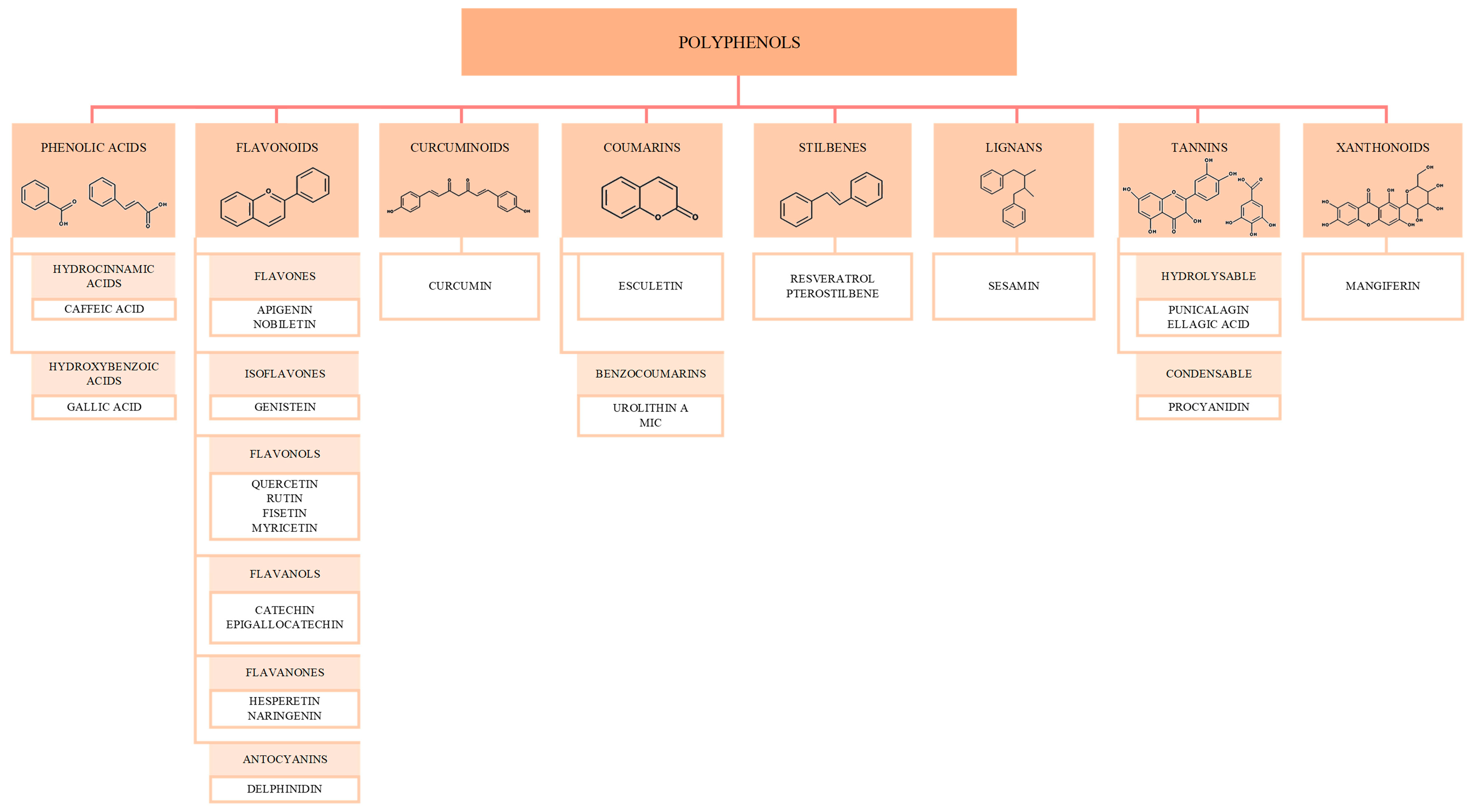 Biomolecules 15 01116 g002