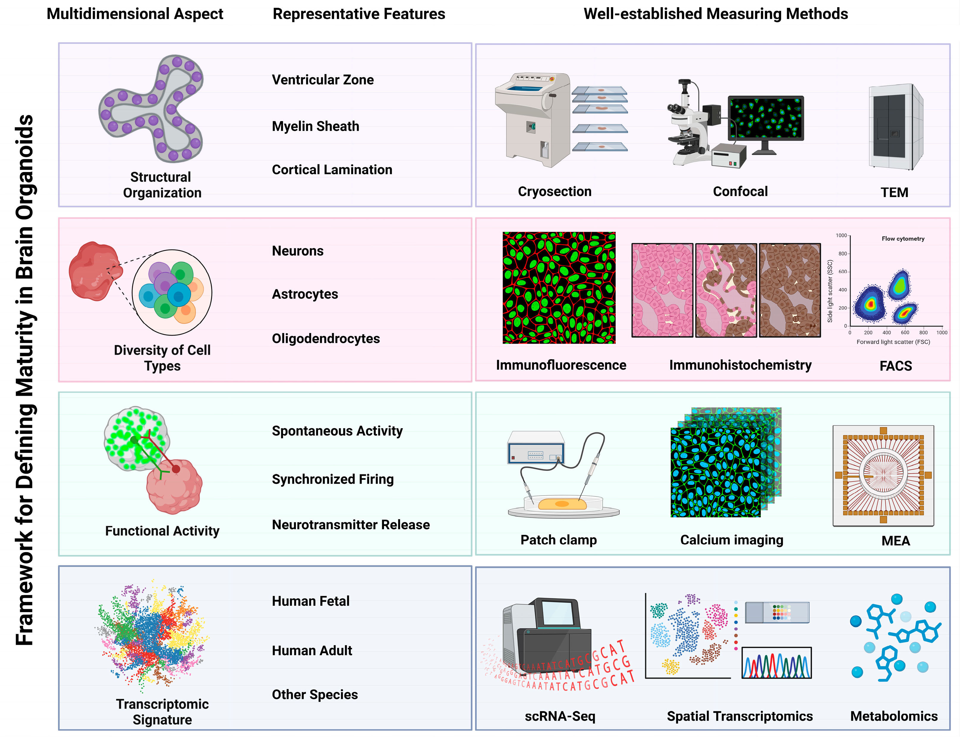 Biomolecules 15 01118 g001