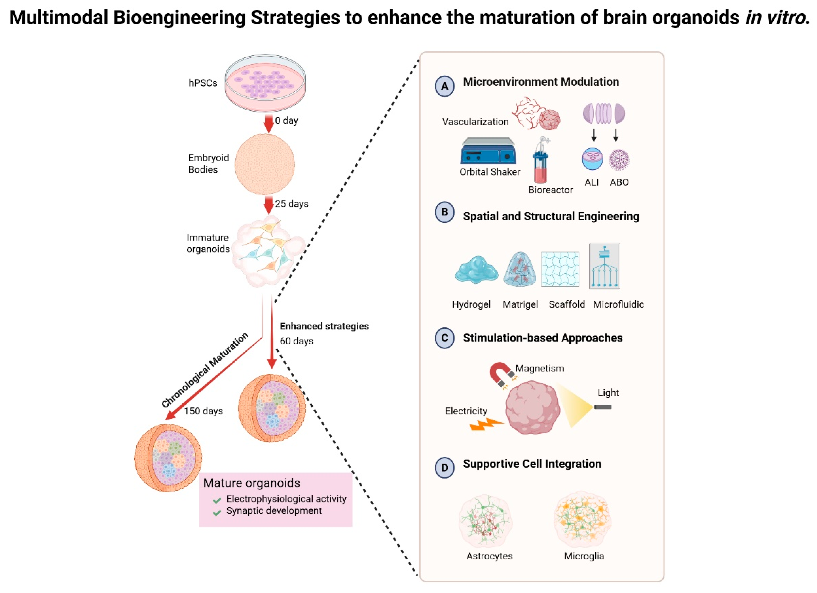 Biomolecules 15 01118 g002