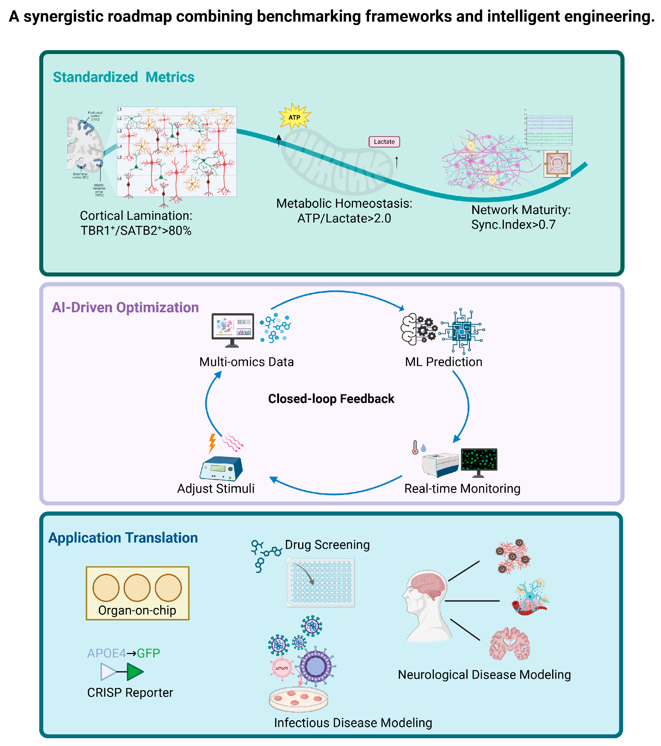 Biomolecules 15 01118 g003