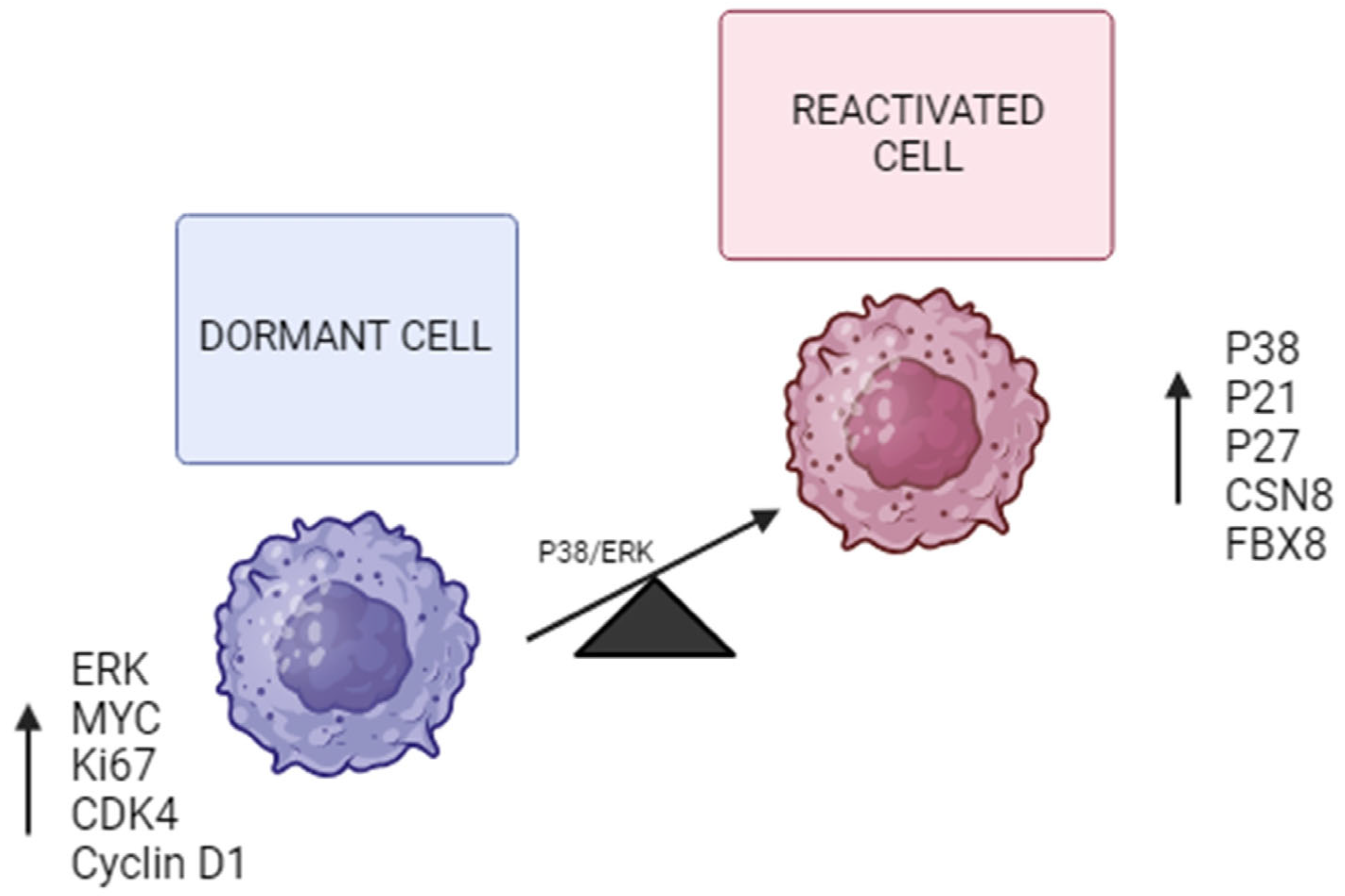 Biomolecules 15 01119 g002 Biomolecules 15 01119 g002