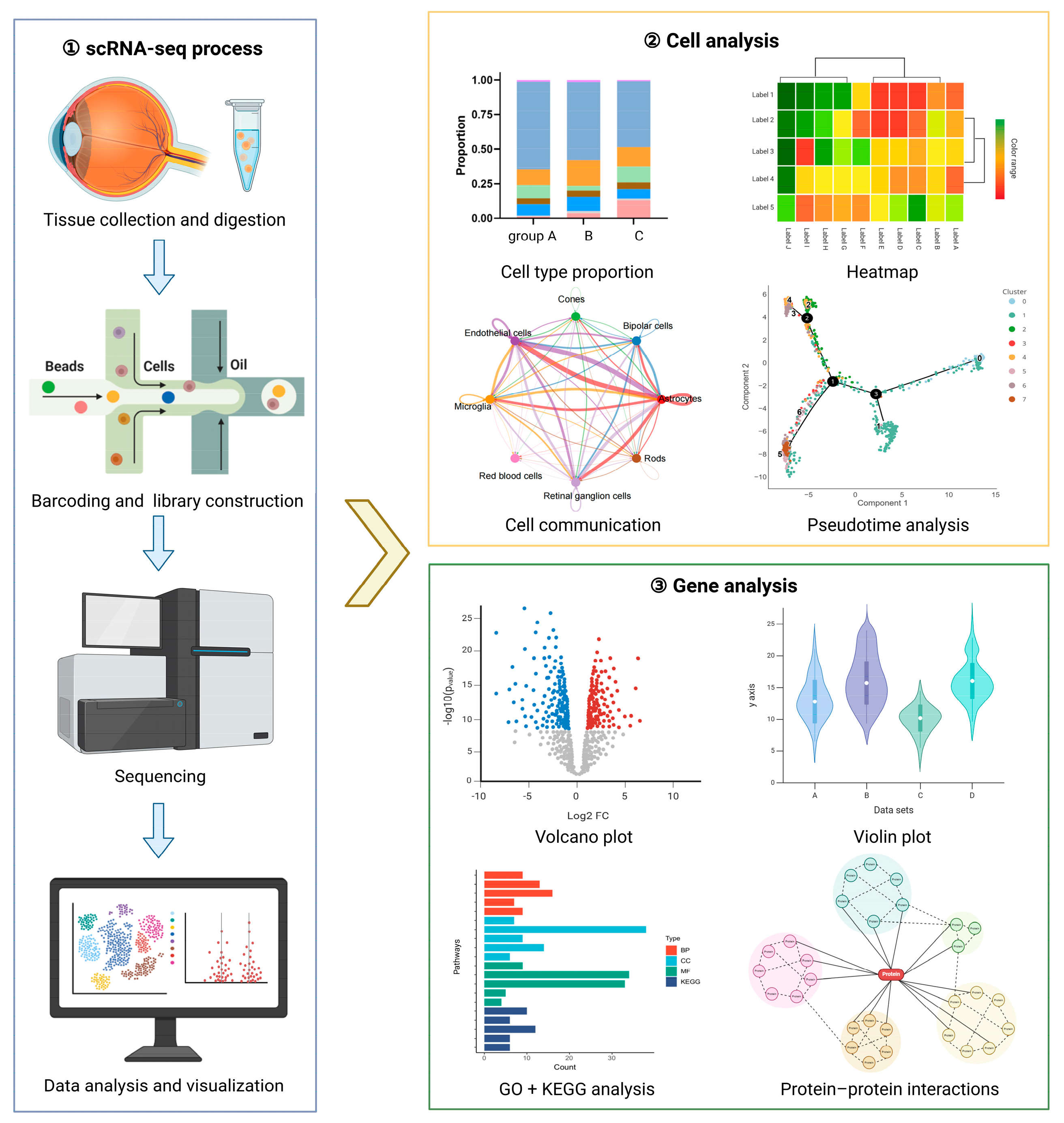 Biomolecules 15 01120 g001
