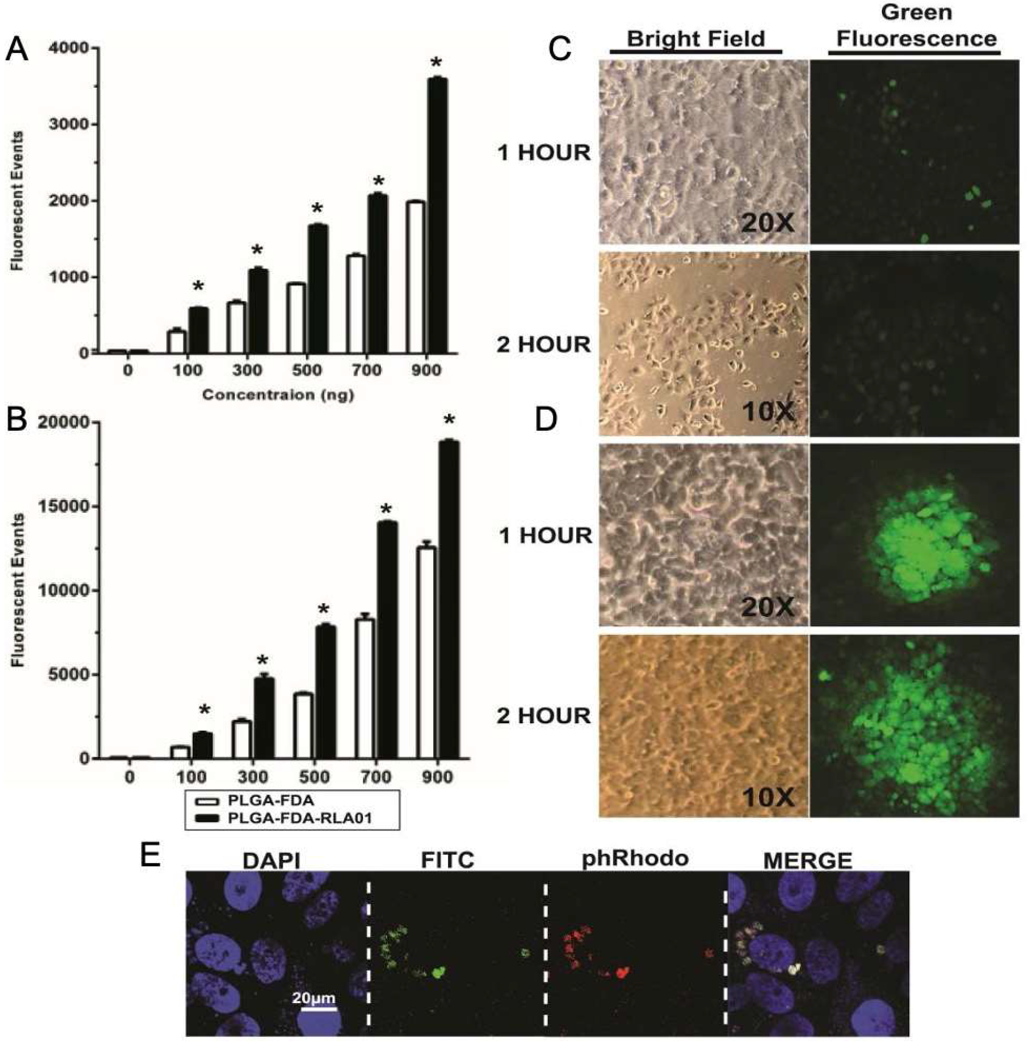 Biomolecules 15 01123 g002 Biomolecules 15 01123 g002