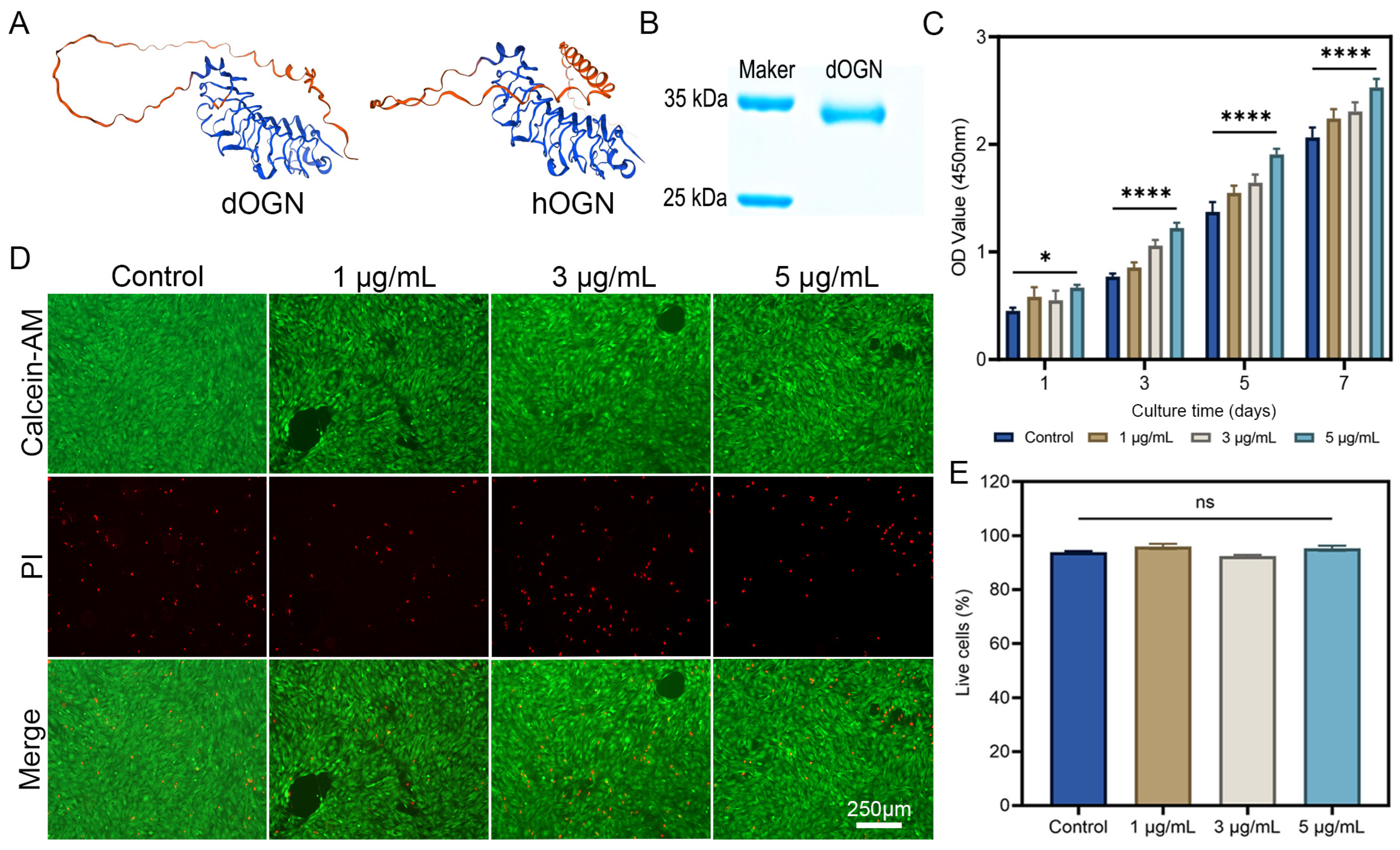 Biomolecules 15 01124 g001