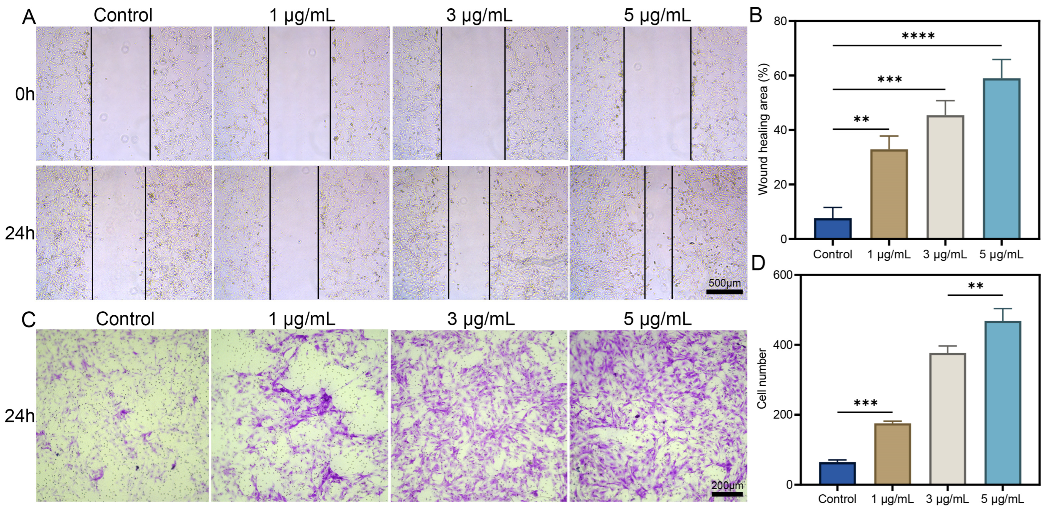 Biomolecules 15 01124 g002