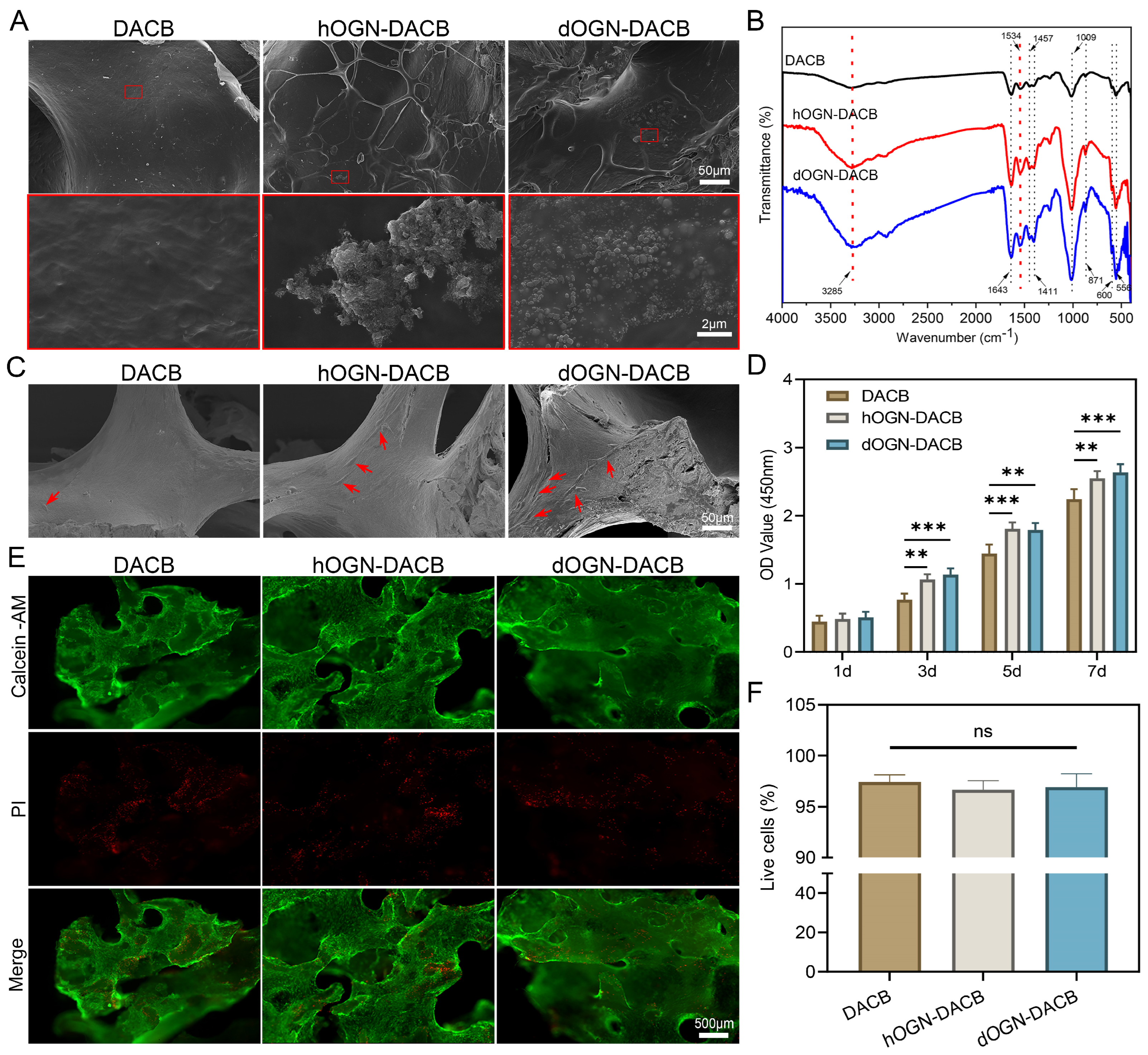 Biomolecules 15 01124 g003