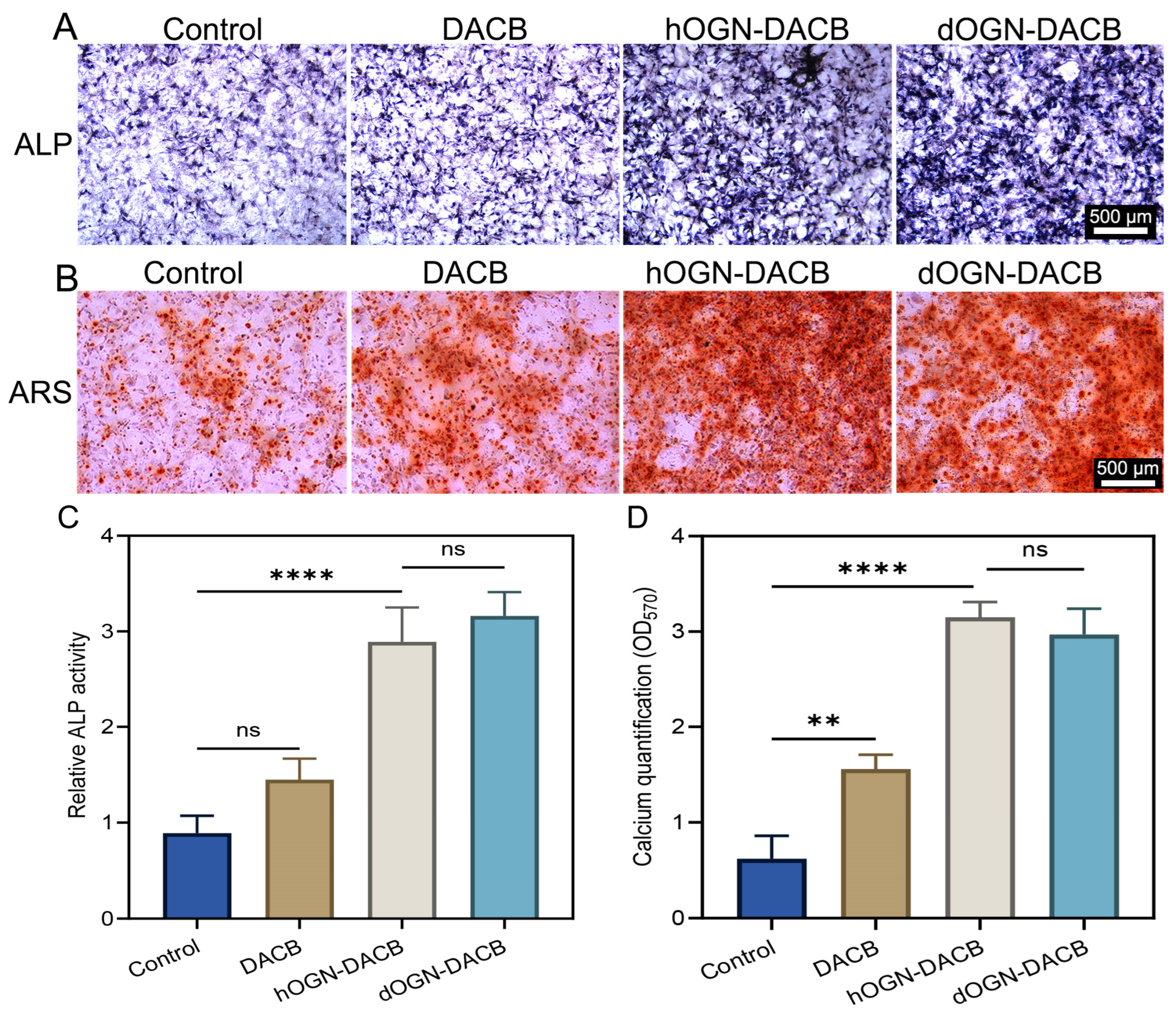 Biomolecules 15 01124 g004
