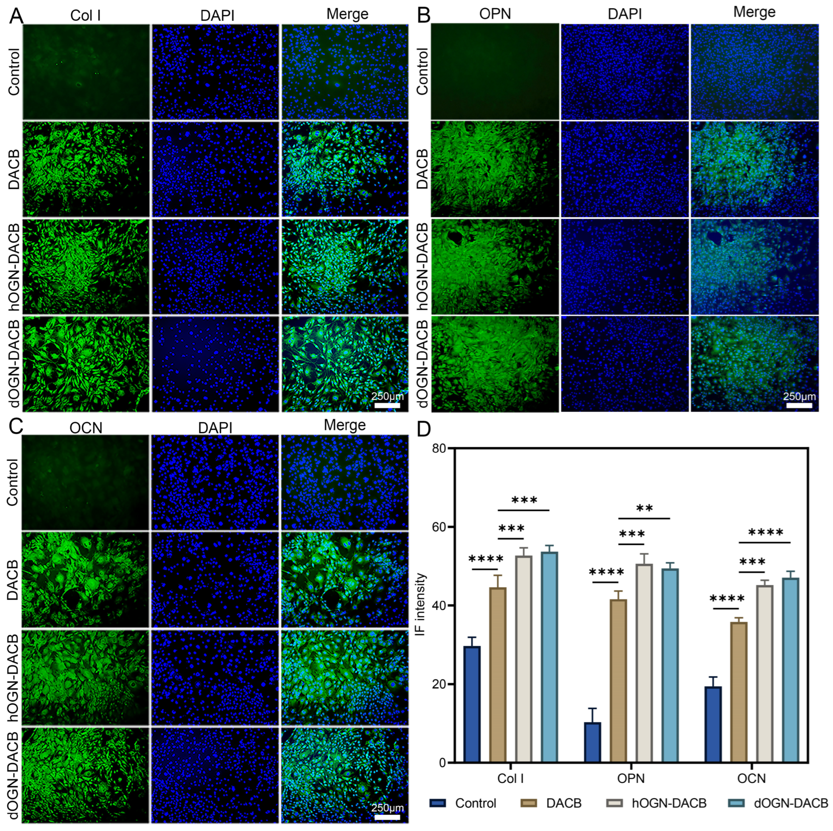 Biomolecules 15 01124 g005