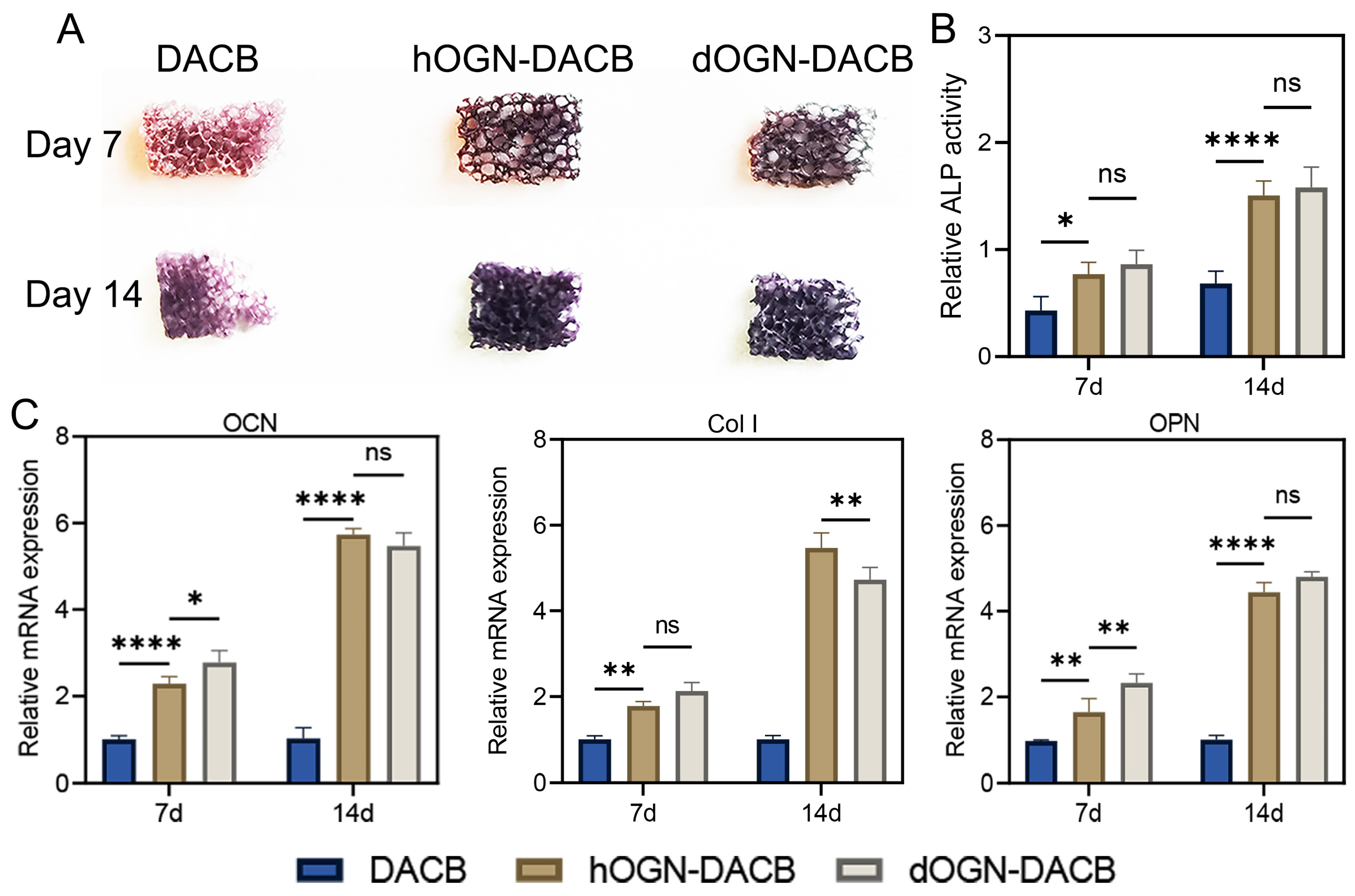 Biomolecules 15 01124 g006
