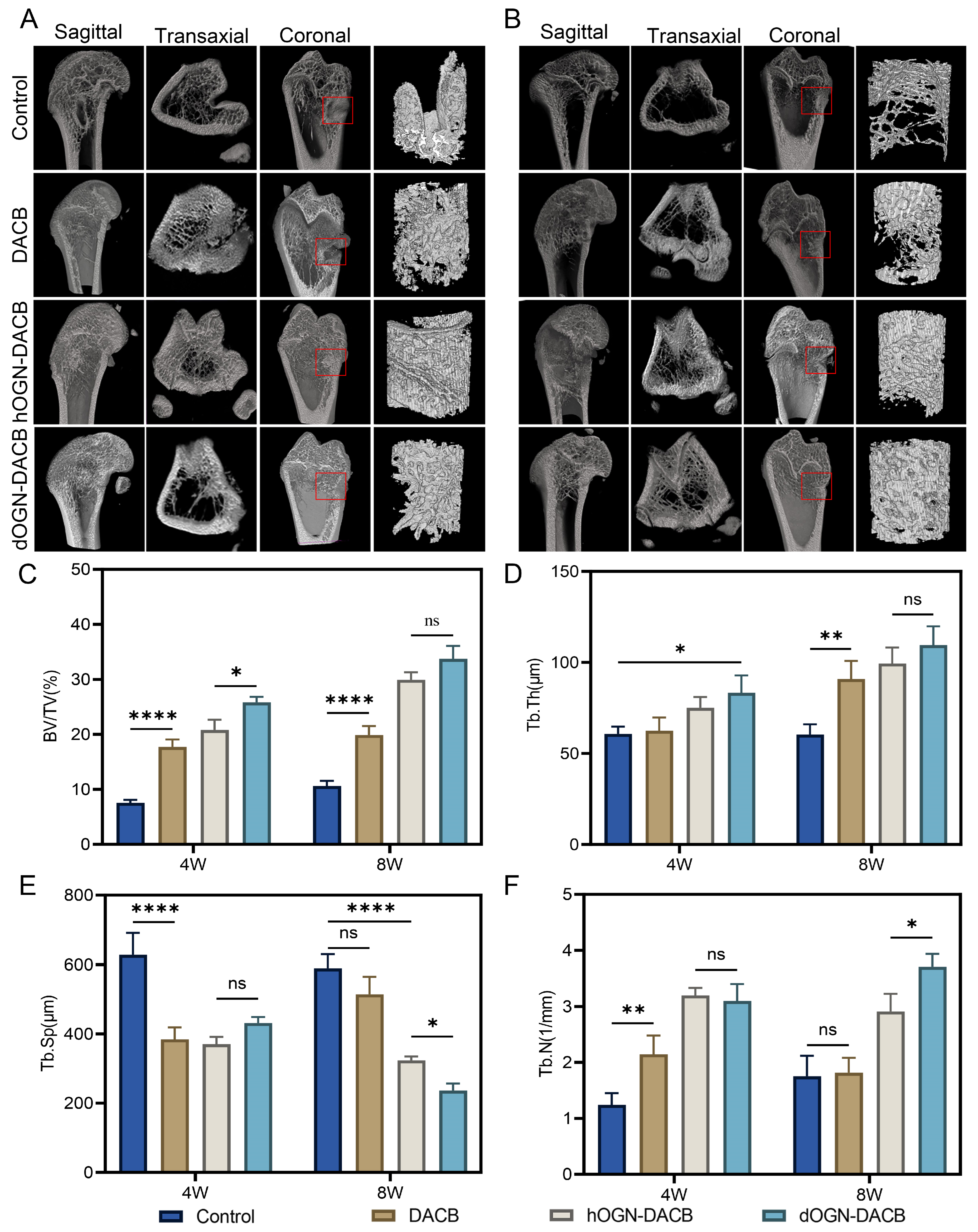 Biomolecules 15 01124 g007