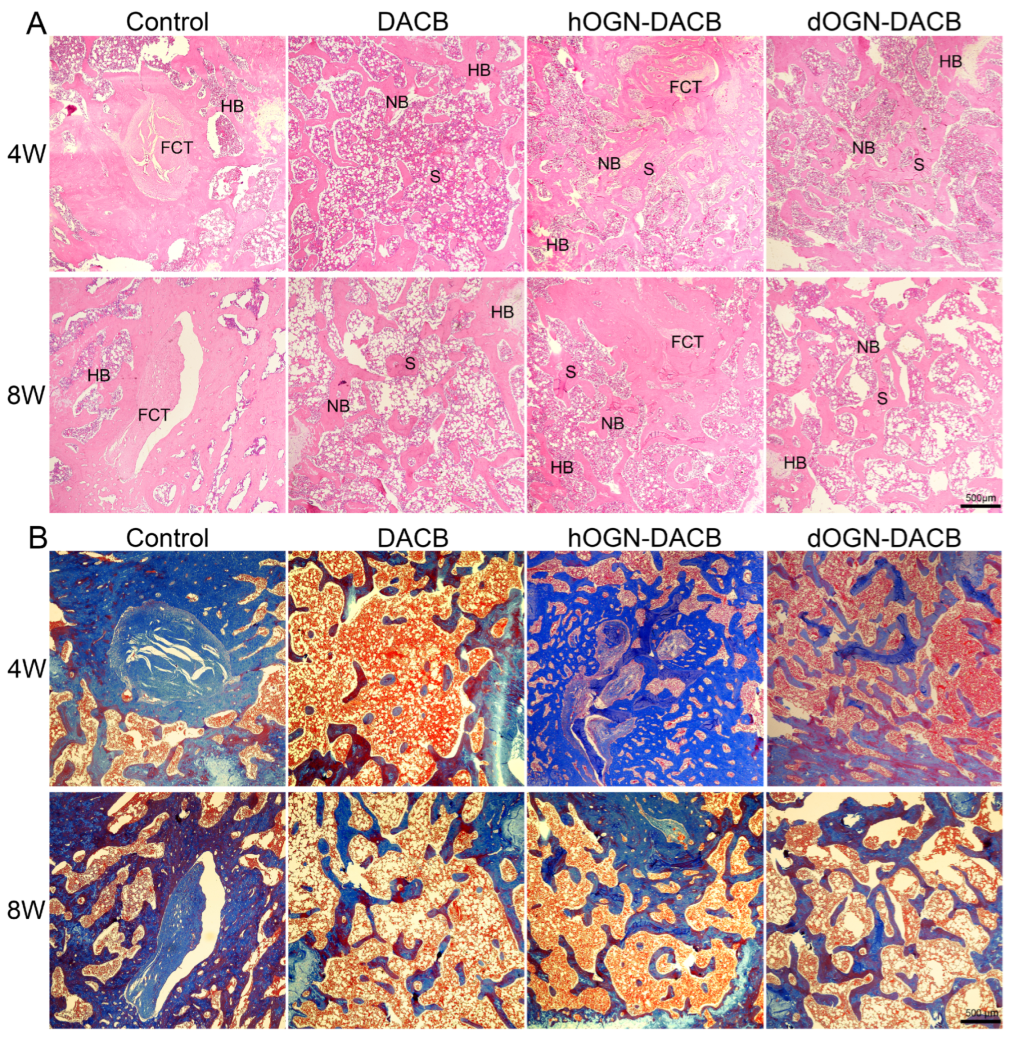 Biomolecules 15 01124 g008