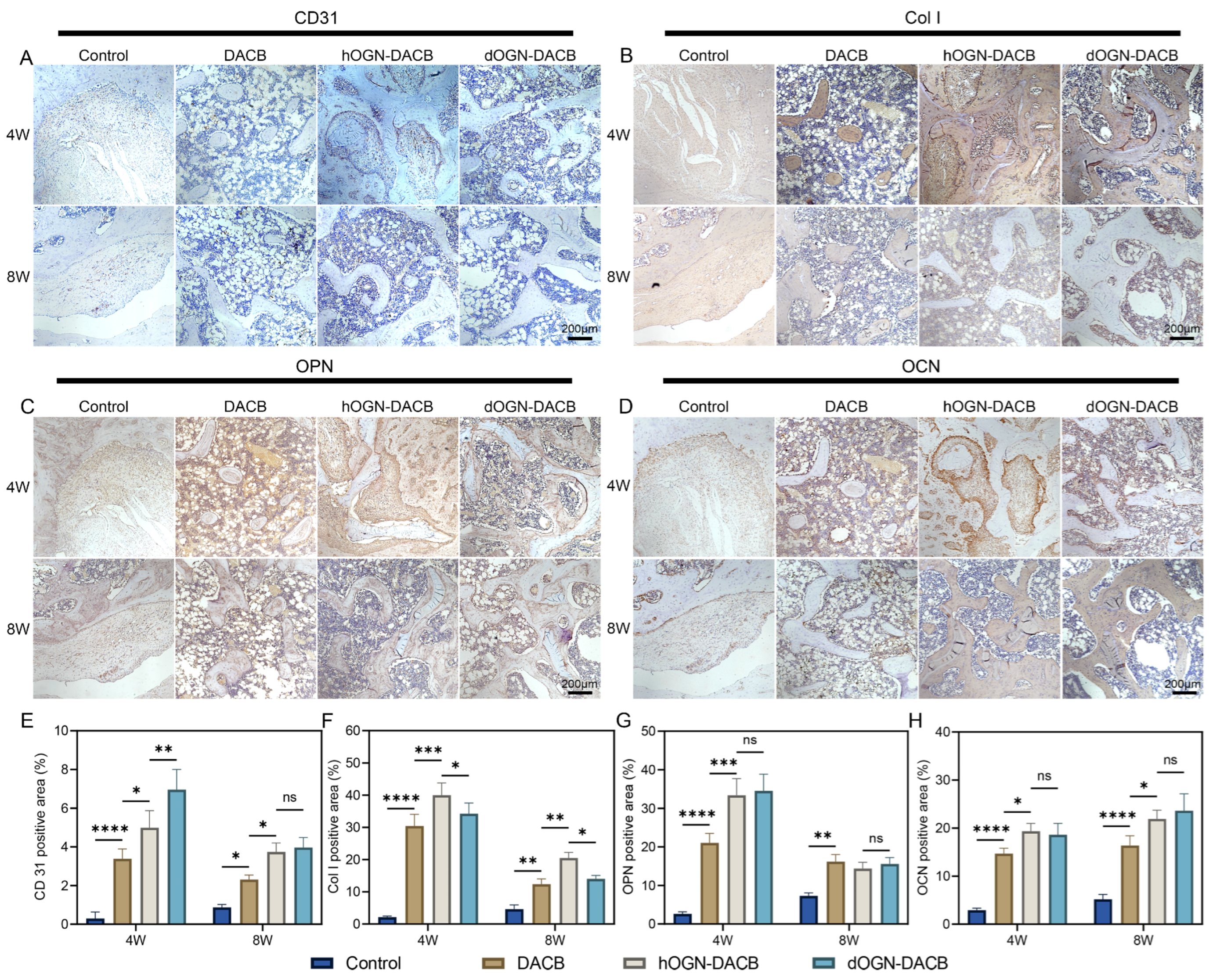 Biomolecules 15 01124 g009