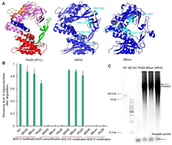 biomolecules-15-01126-g001-550.jpg