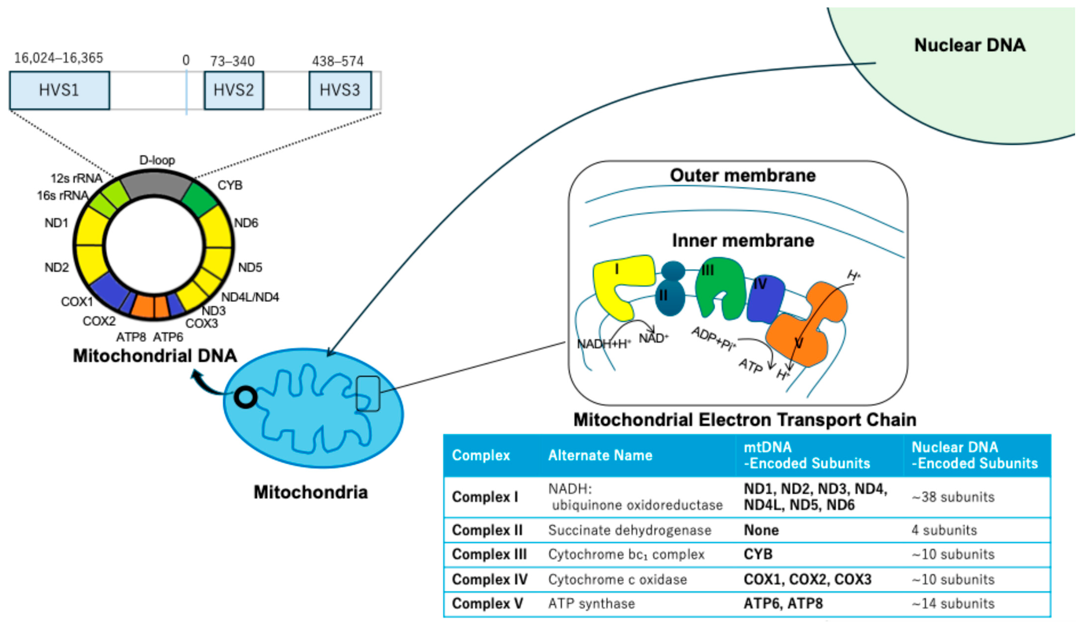 Biomolecules 15 01128 g001