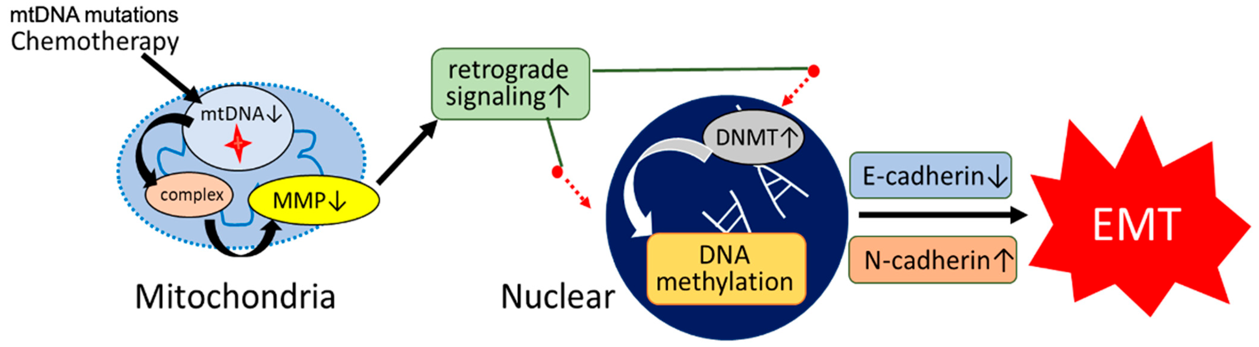 Biomolecules 15 01128 g003