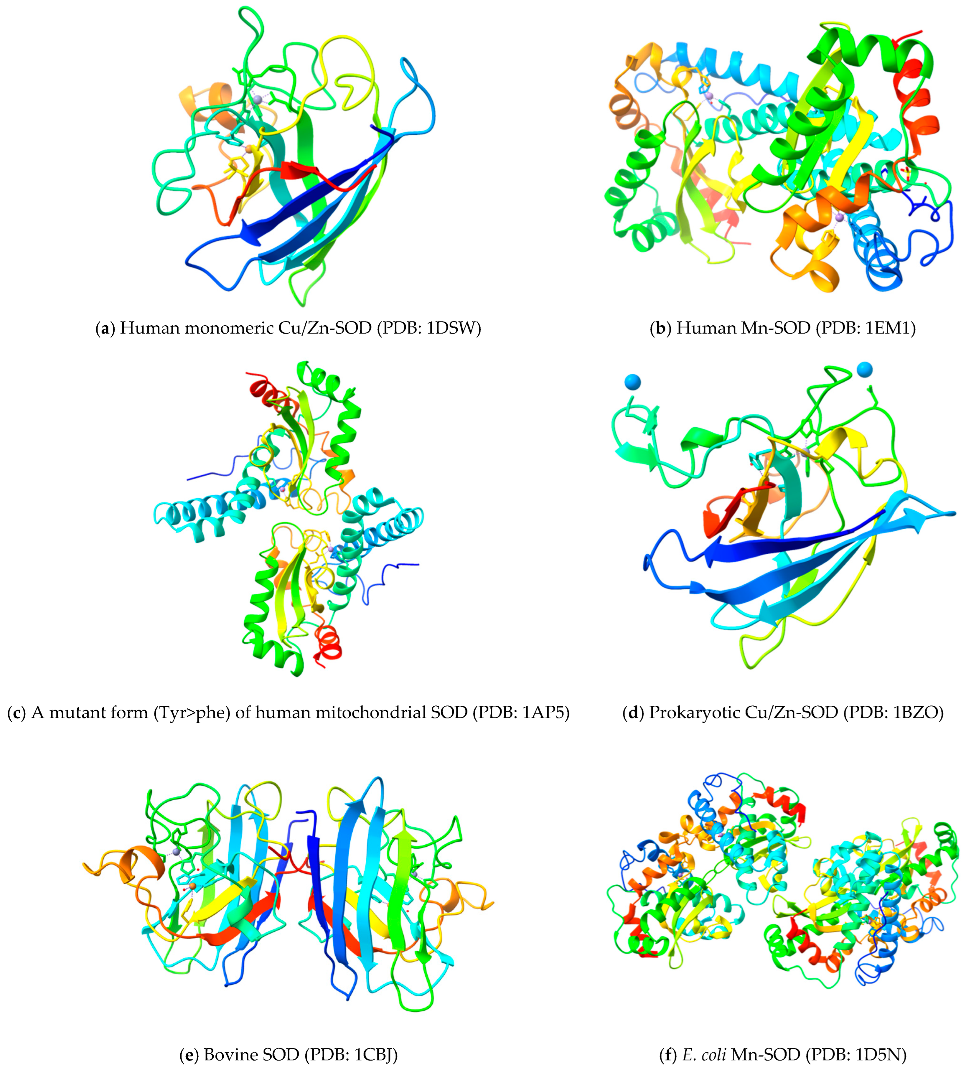Biomolecules 15 01130 g003 Biomolecules 15 01130 g003