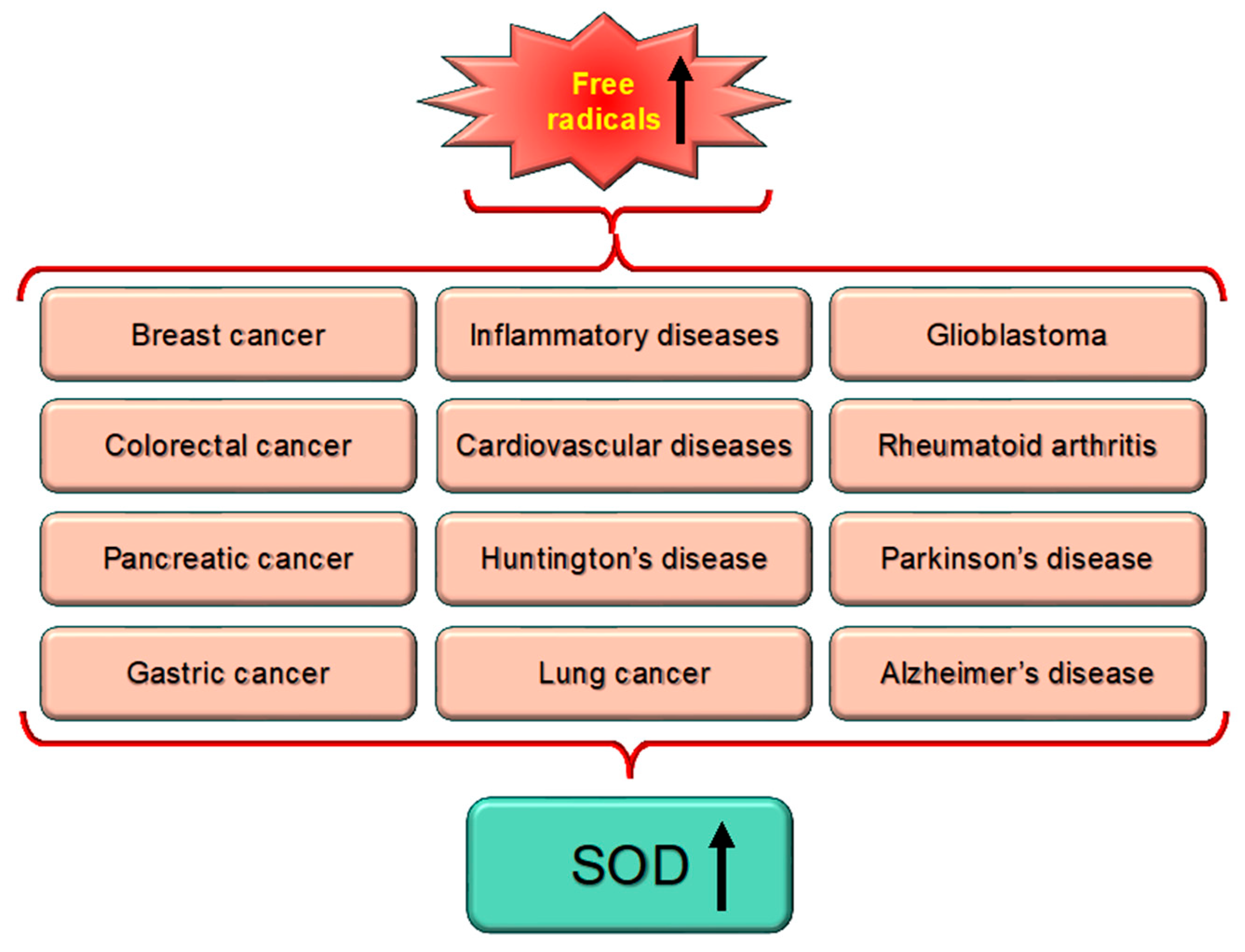 Biomolecules 15 01130 g005 Biomolecules 15 01130 g005