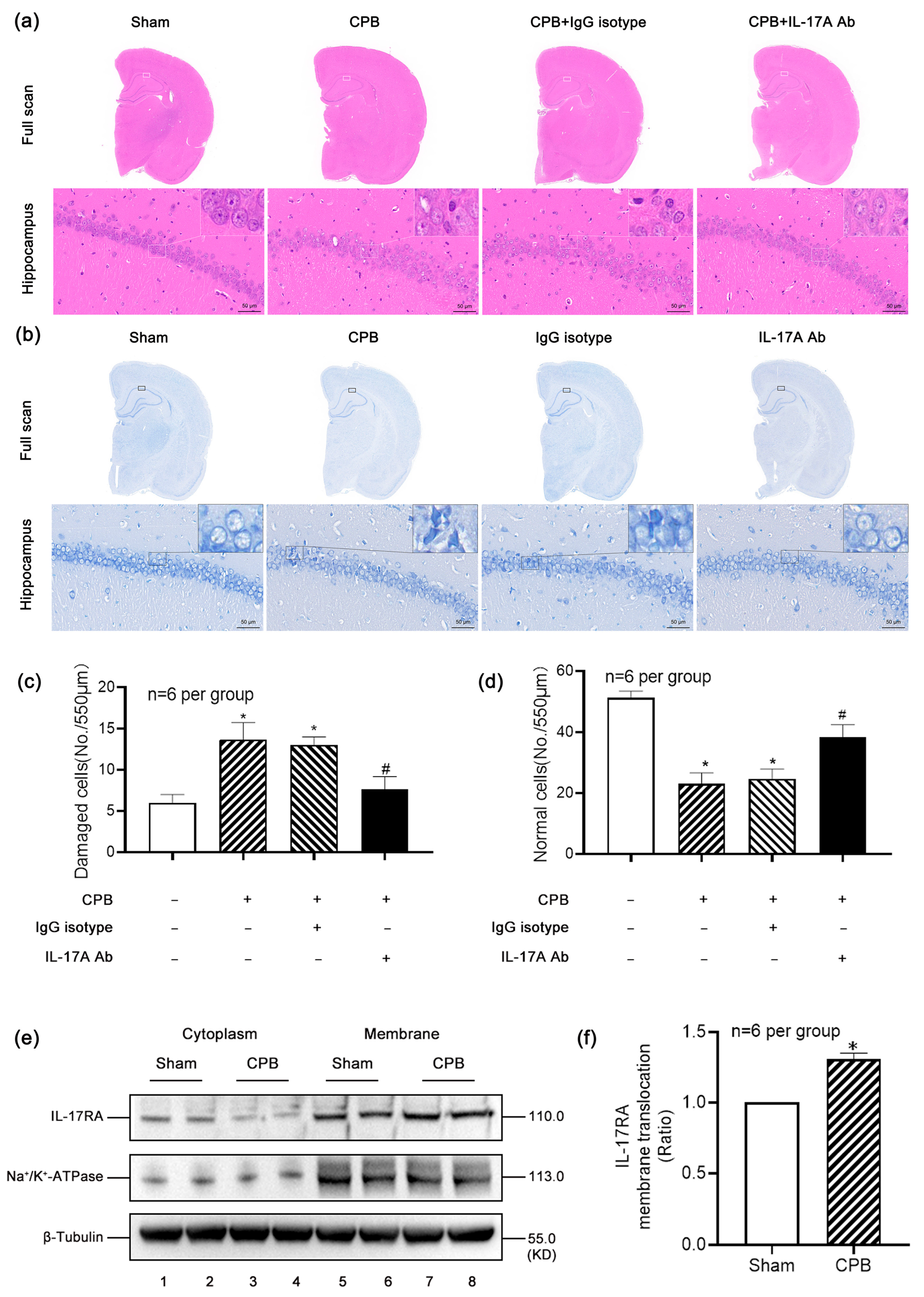 Biomolecules 15 01134 g003 Biomolecules 15 01134 g003