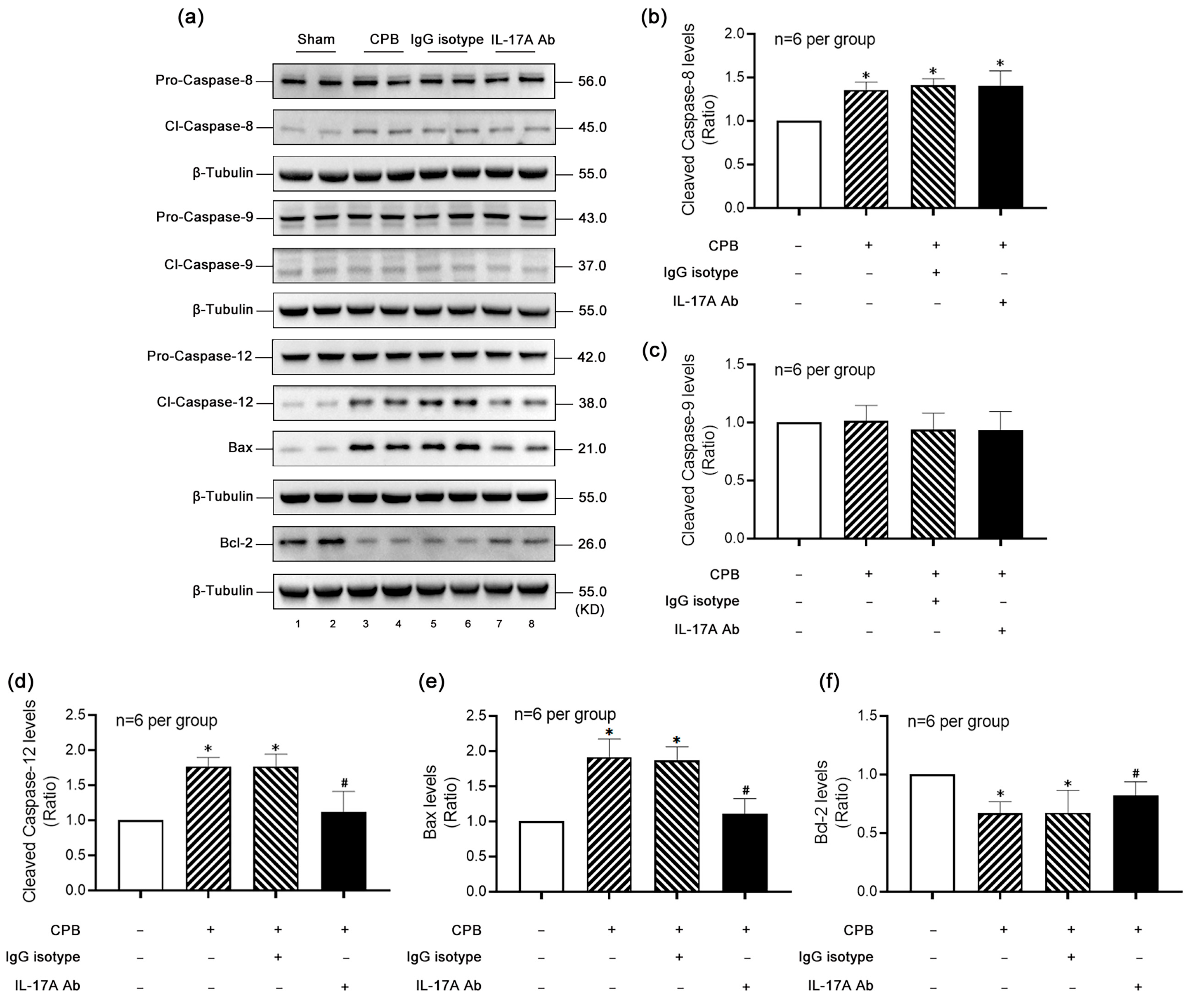 Biomolecules 15 01134 g004 Biomolecules 15 01134 g004