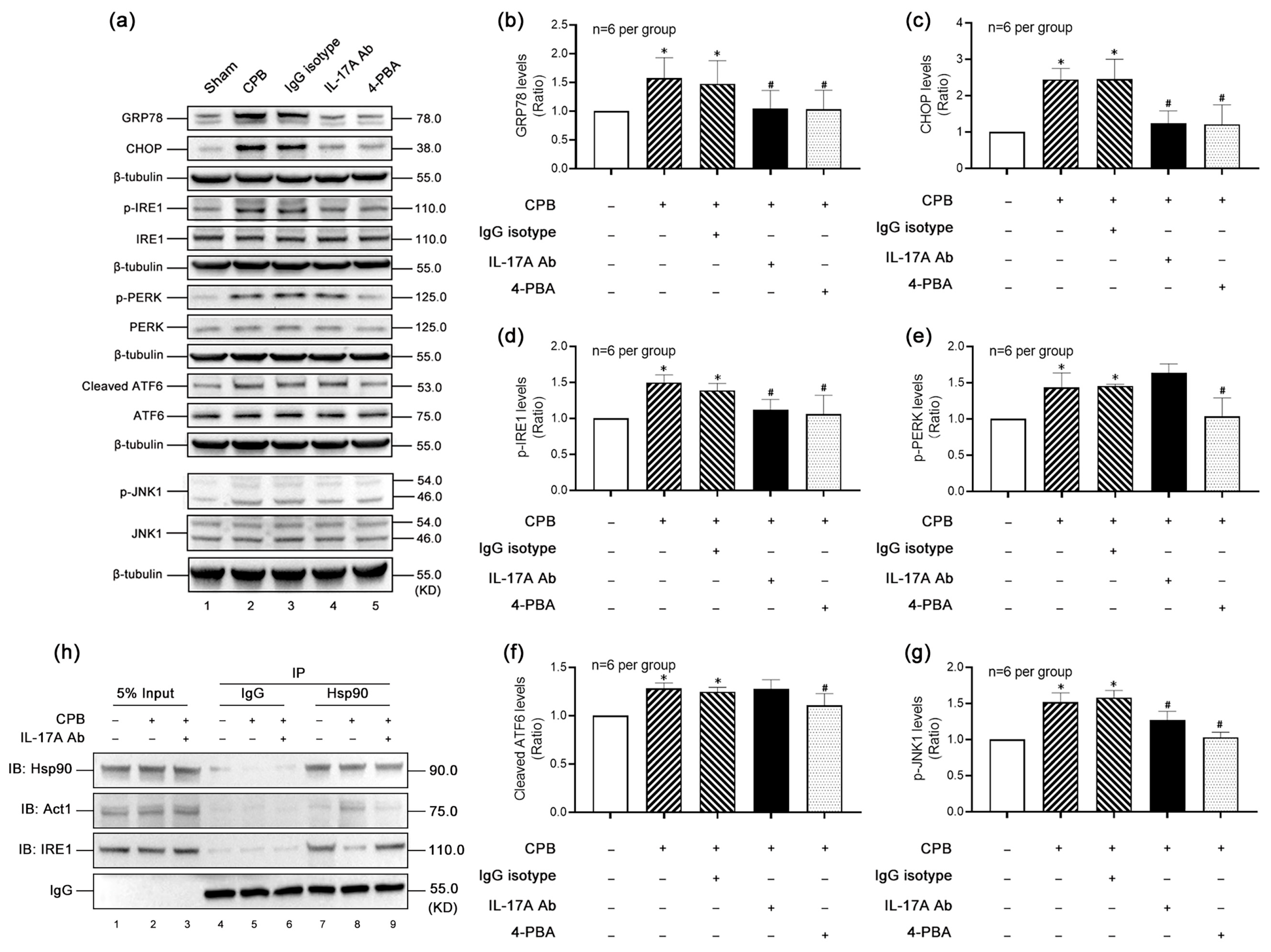 Biomolecules 15 01134 g005 Biomolecules 15 01134 g005
