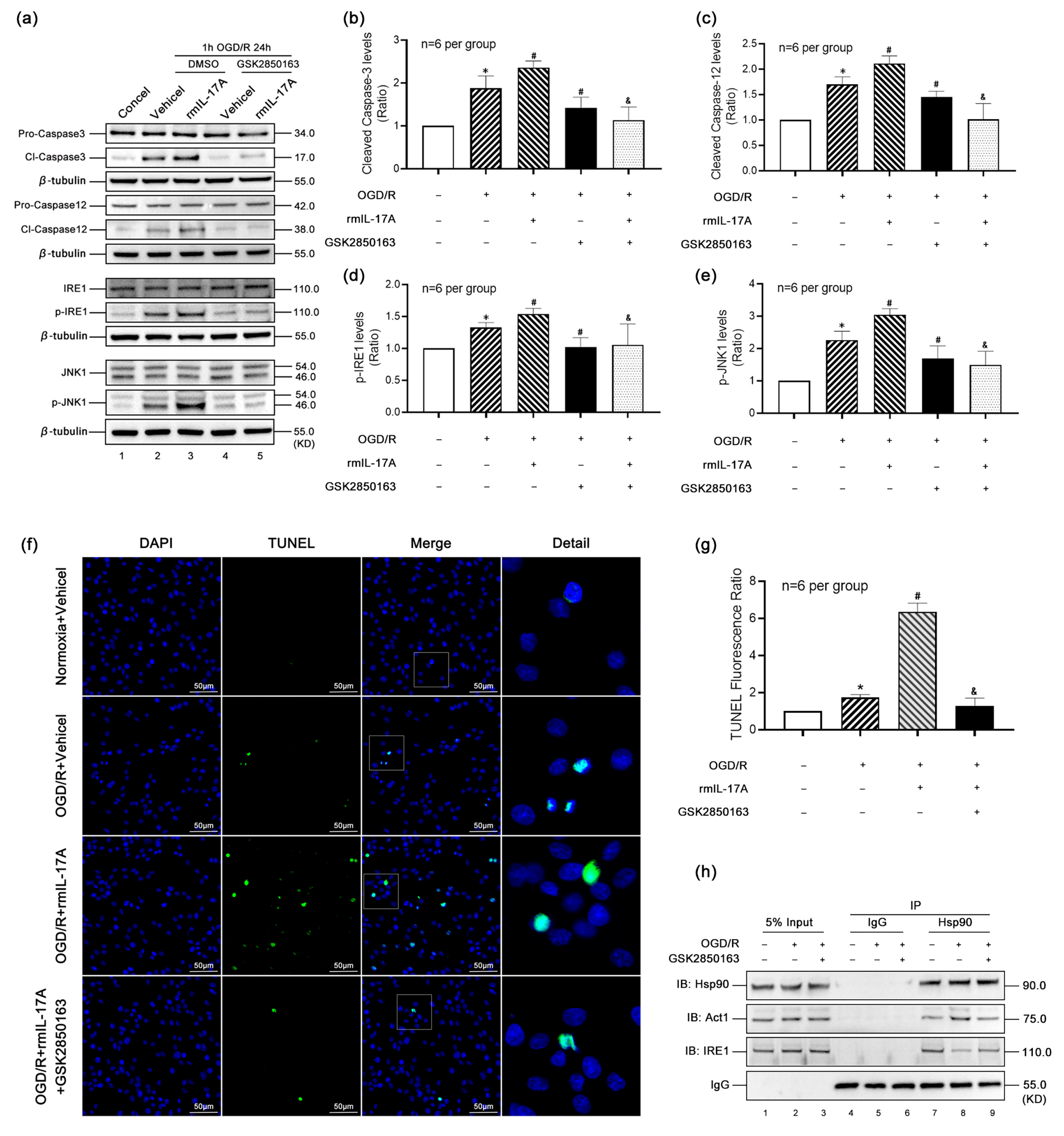 Biomolecules 15 01134 g006 Biomolecules 15 01134 g006