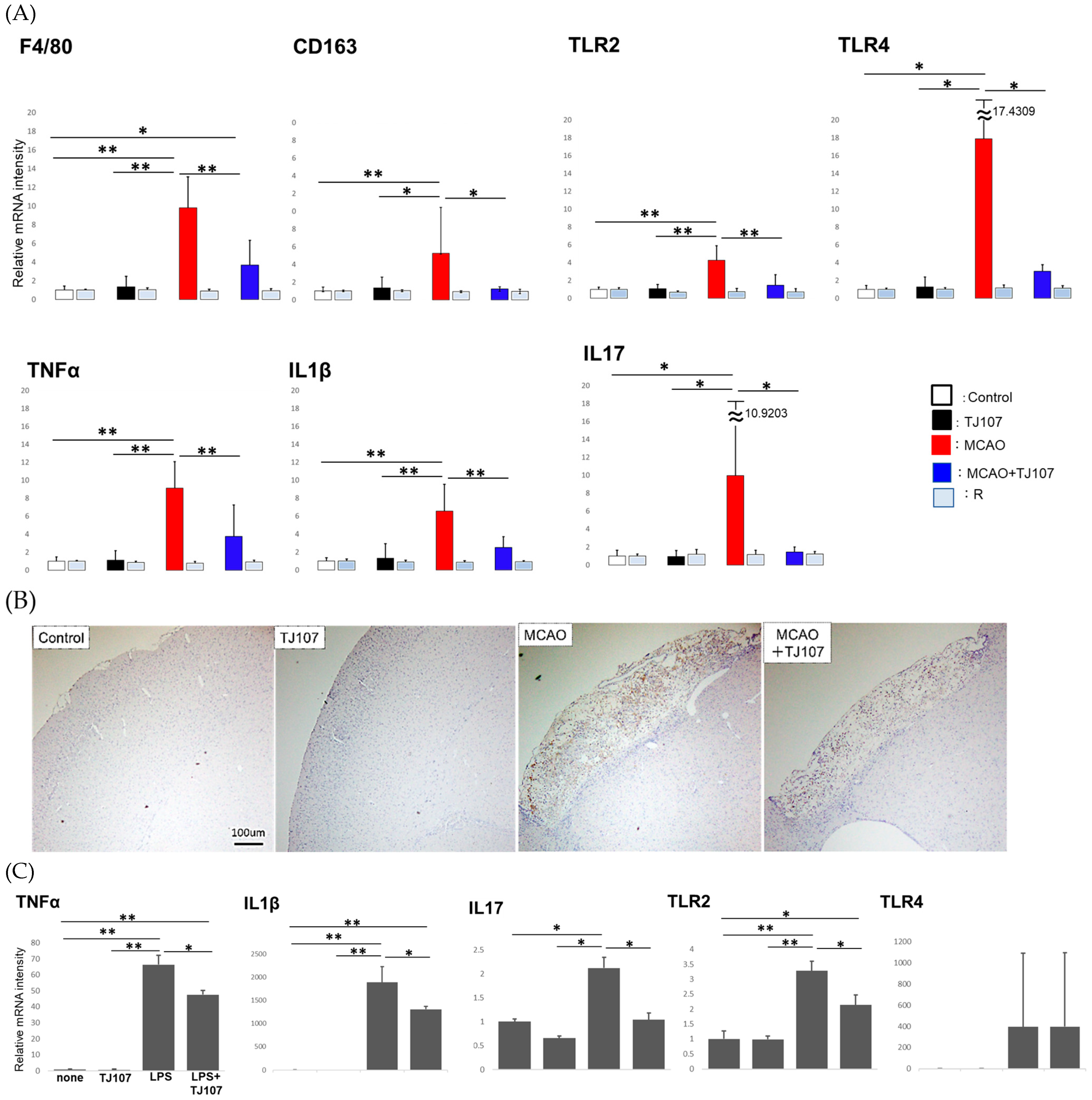 Biomolecules 15 01136 g003